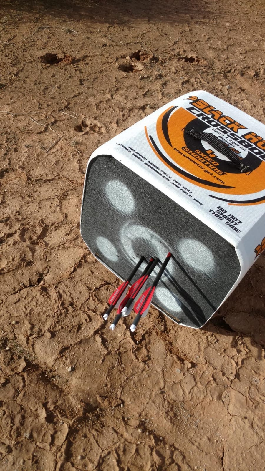 Black Hole 4-Sided Archery Target, Uses Friction Not Force to Stop All Field Points and Broadheads, Open-Face Layered Design, Lightweight and Carry Strap for Portability customer photo 1