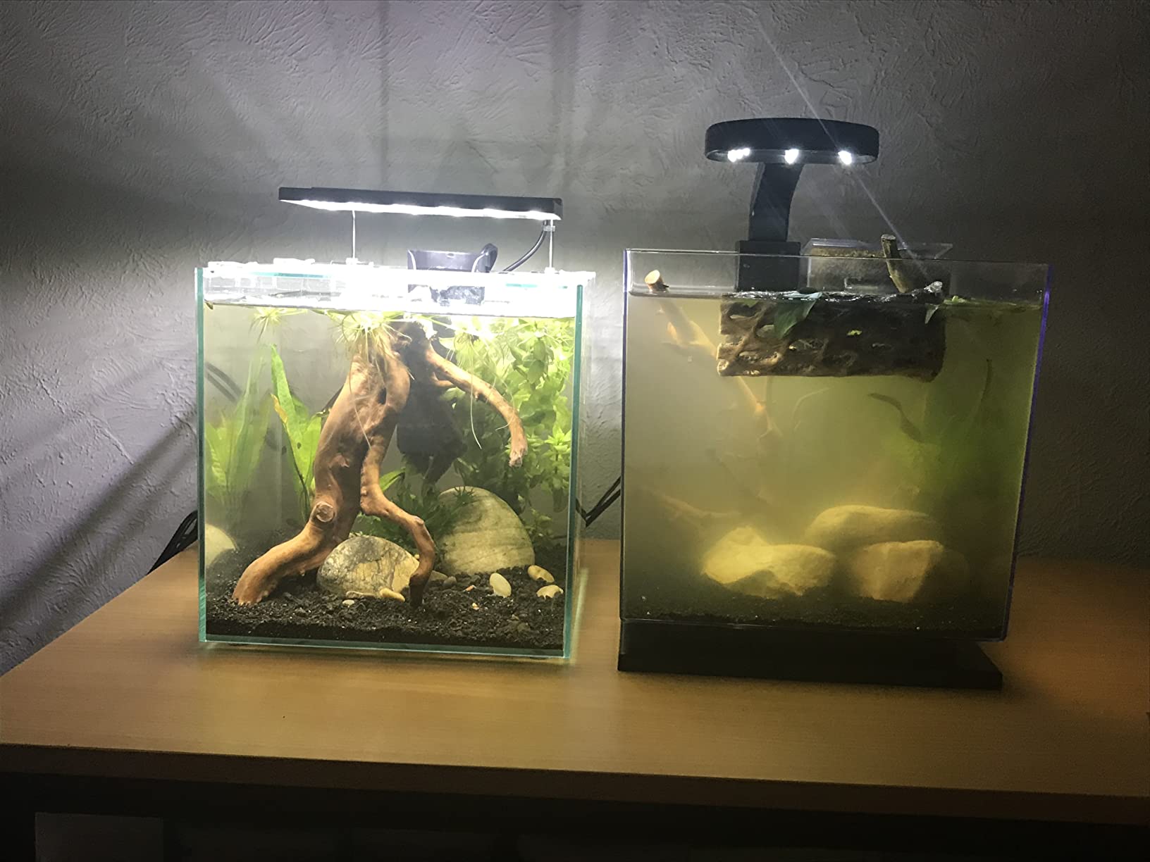 Tetra Cube 3 Gallon Starter Fish Tank Kit | Aquarium Kit Includes LEDs, 3 Gallon Acrylic Tank, Filter & Cartridge, For Small Tropical Fish, Guppies, Goldfish, or Betta customer photo 2