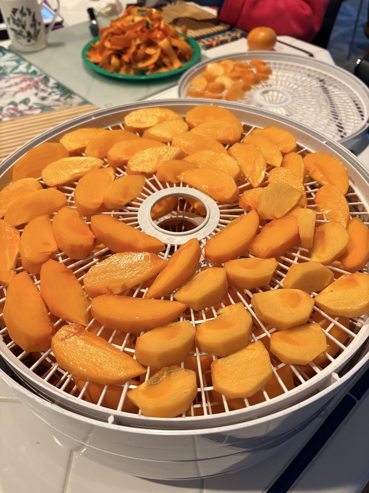 NESCO FD-75A Snackmaster Pro Food Dehydrator, For Snacks, Fruit, Beef Jerky, Gray customer photo 1