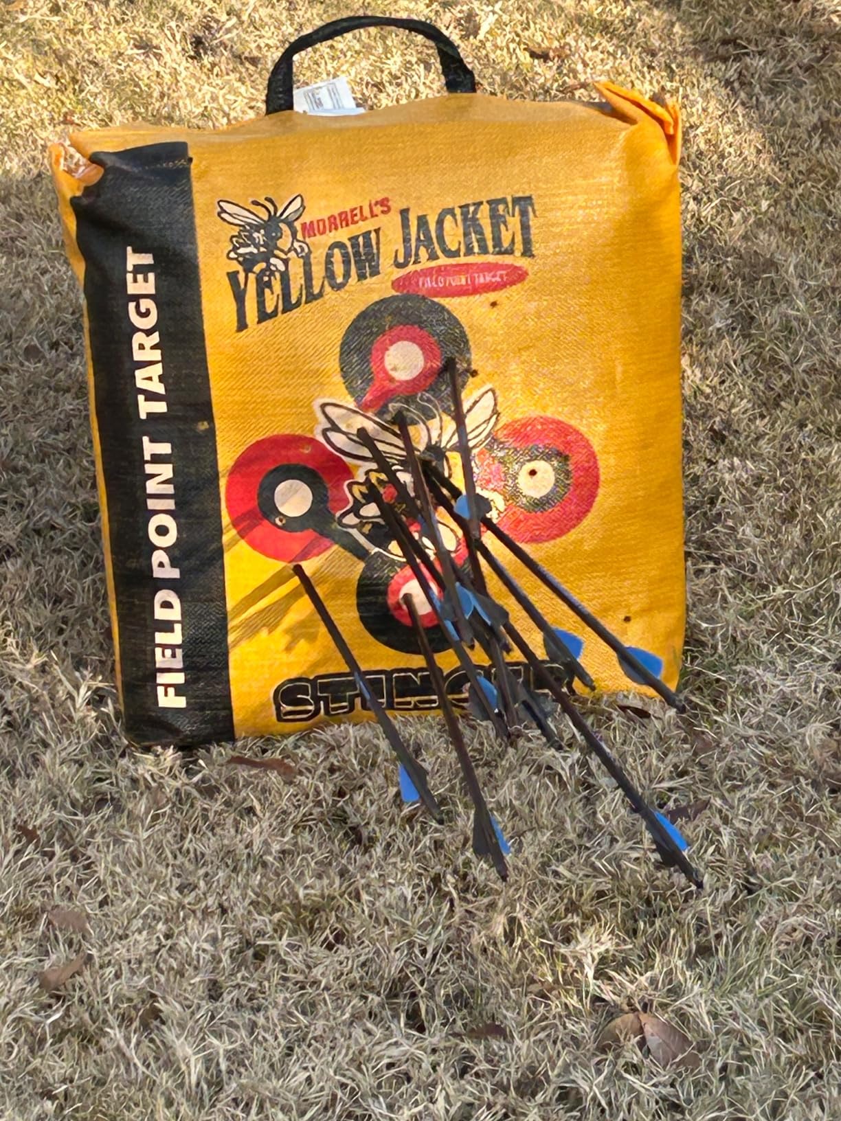 Morrell Yellow Jacket Stinger, Field Point Archery Target with 2 Shooting Sides & 10 Bullseyes - Portable Backyard Hunting Practice Bag with E-Z Tote Carrying Handle & Easy Arrow Removal customer photo 2
