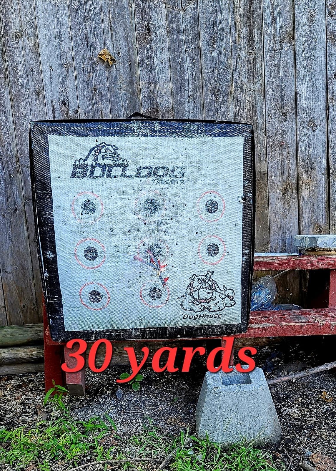 Carbon Express Maxima RED Fletched Carbon Arrows with Dynamic Spine Control and Blazer Vanes, 6-Pack, Available in 250(.400 Spine) & 350(.350 Spine) customer photo 2