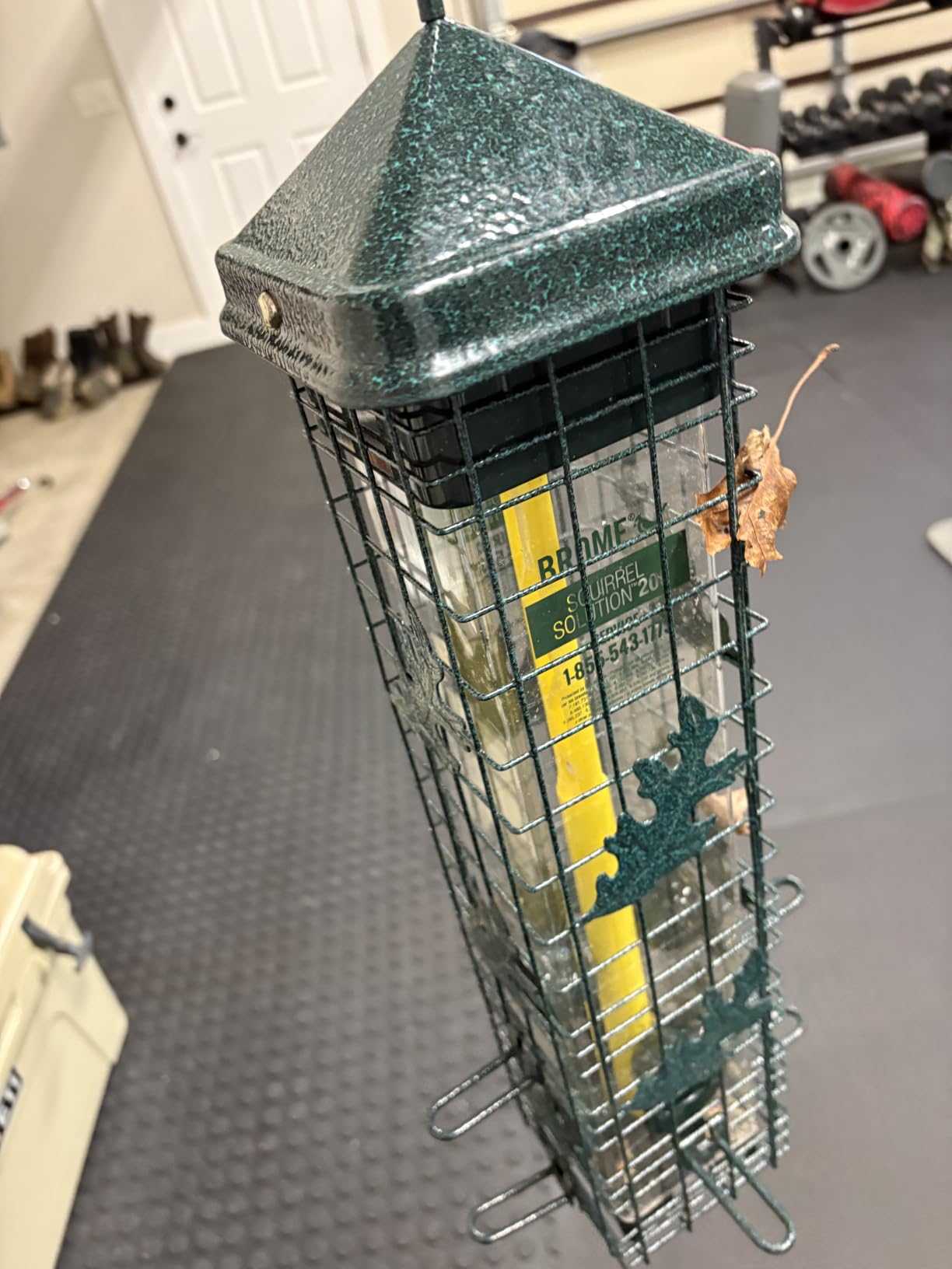 Squirrel Solution200 Squirrel-proof Bird Feeder w/6 Feeding Ports, 3.4-pound Seed Capacity, Free Seed Funnel customer photo 2