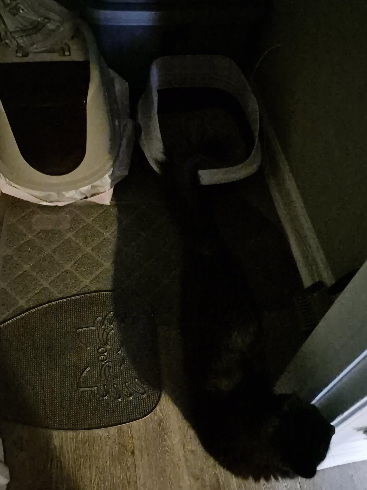 Arm & Hammer Rimmed Cat Litter Box with High Sides and Microban, Made in USA customer photo 1