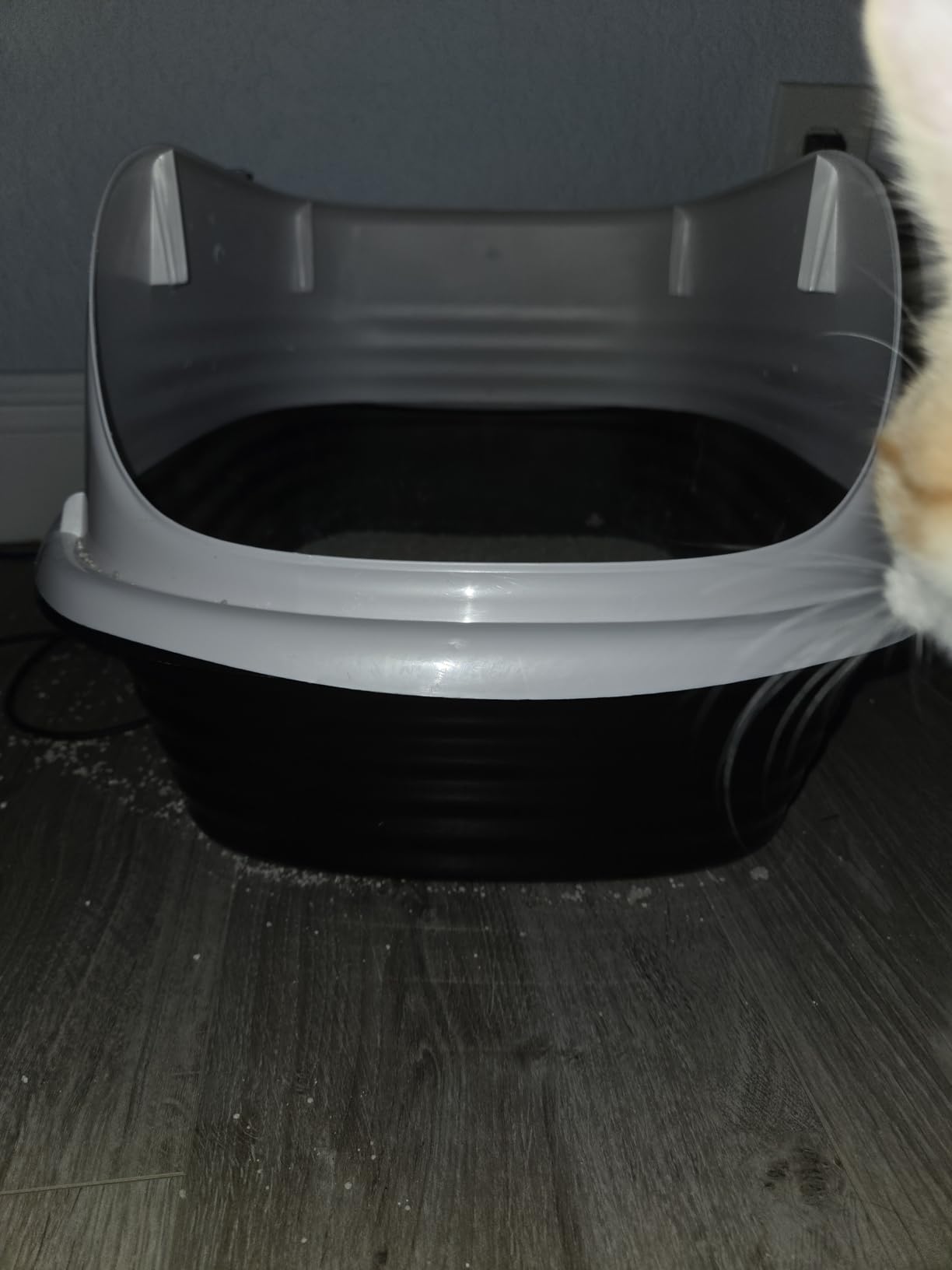Arm & Hammer Rimmed Cat Litter Box with High Sides and Microban, Made in USA customer photo 2