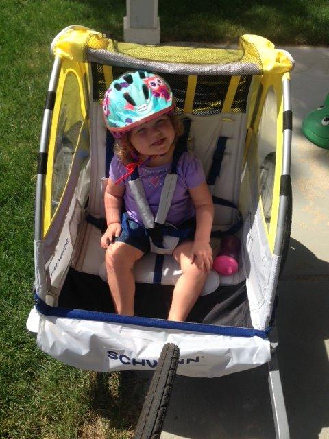 Schwinn Echo Child Bike Trailer, Max of 2 Children with Total Weight of 80 lbs., Canopy, 20-Inch Air-Filled Tires, Yellow/Grey customer photo 2