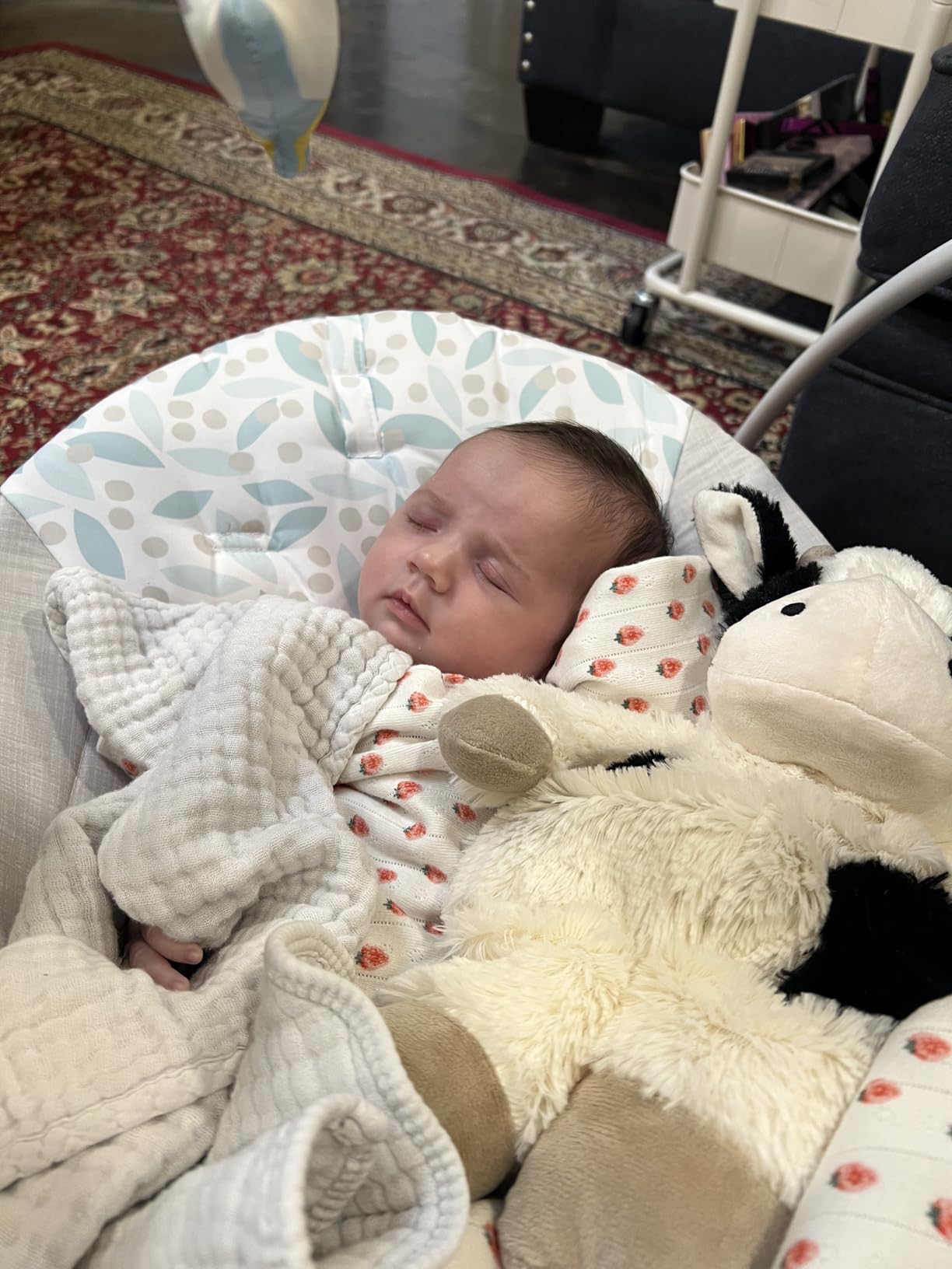 Ingenuity Soothe 'n Delight Compact Portable 6-Speed Plush Baby Swing with Music, Folds Easy, 0-9 Months 6-20 lbs (Cozy Kingdom) customer photo 1