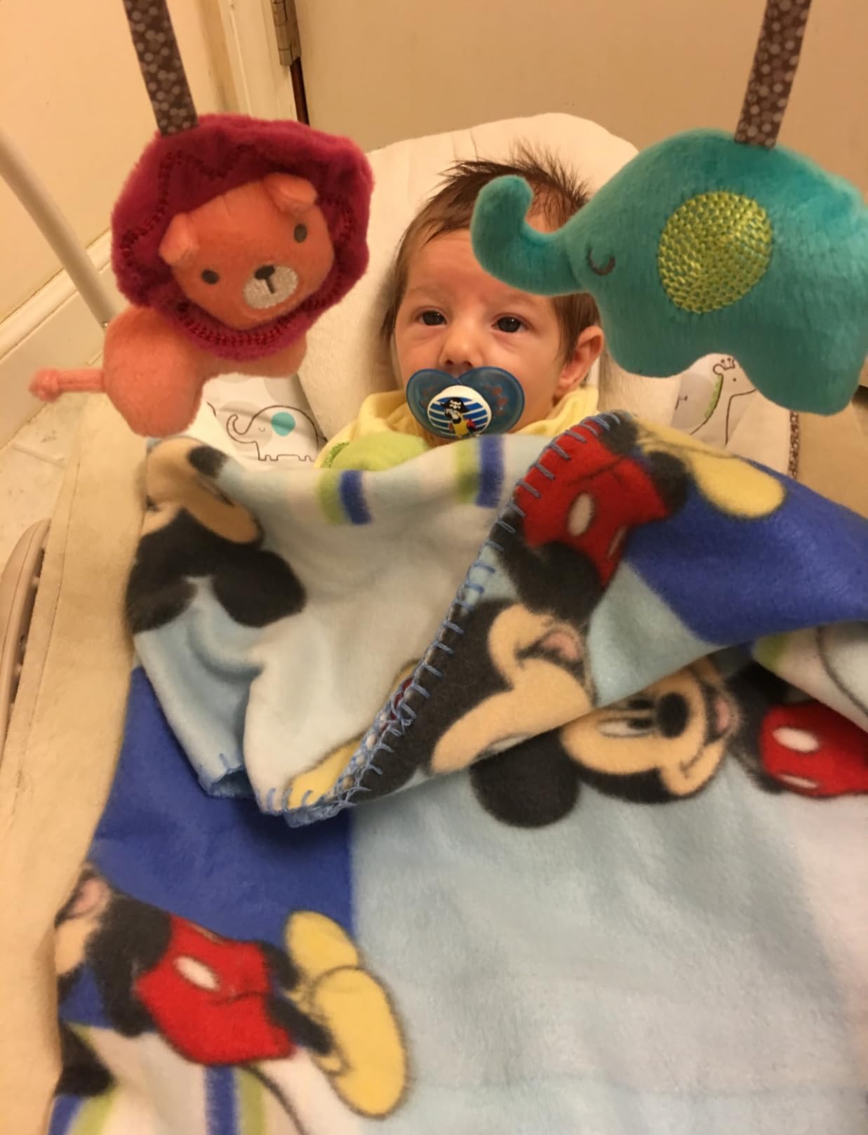 Ingenuity Soothe 'n Delight Compact Portable 6-Speed Plush Baby Swing with Music, Folds Easy, 0-9 Months 6-20 lbs (Cozy Kingdom) customer photo 2