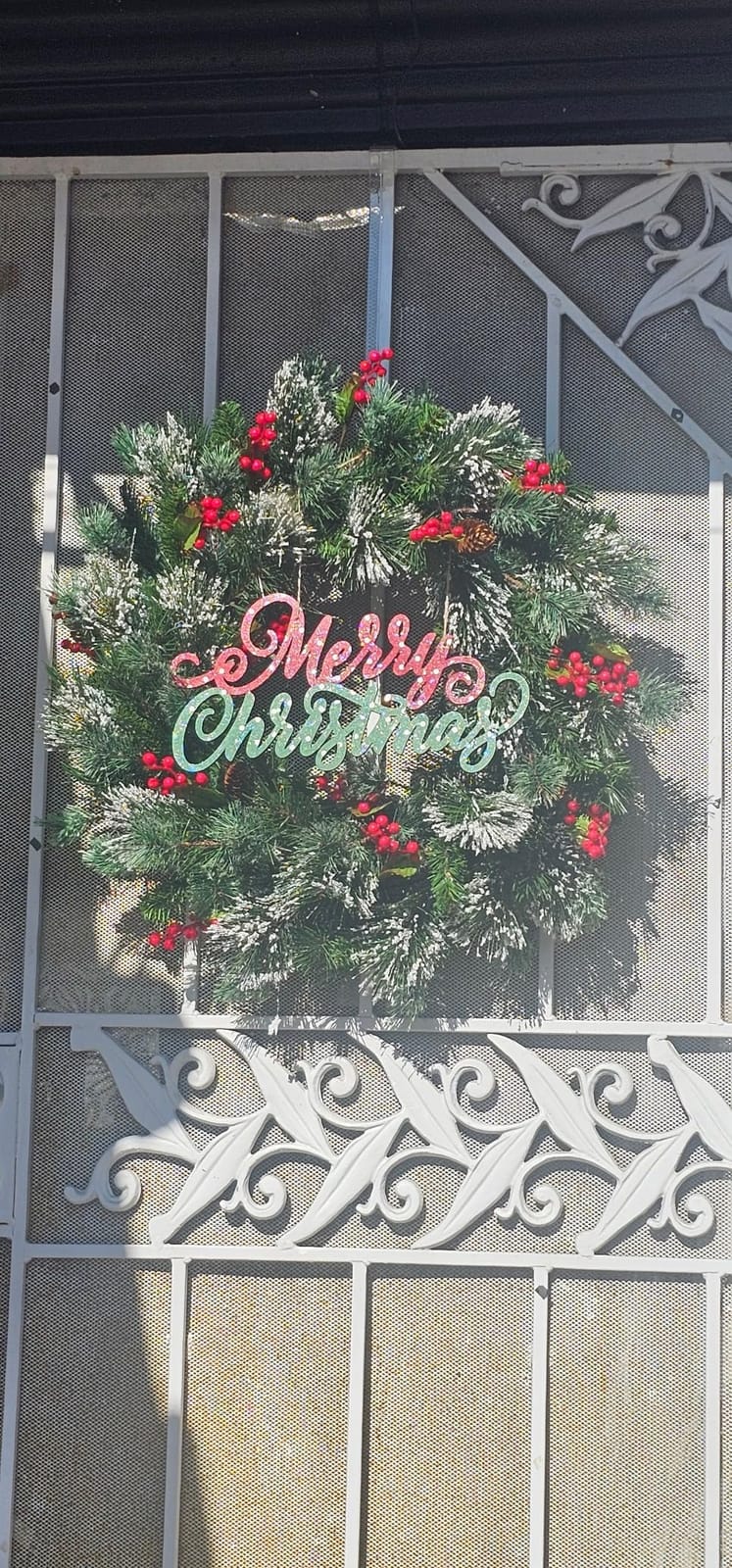 National Tree Company 24in Pre-Lit Wintry Pine Flocked Christmas Wreath | 50 Warm White LED Lights, 113 Tips, Artificial Christmas Decoration With Pinecones, Red Berries, Timer, Green customer photo 2