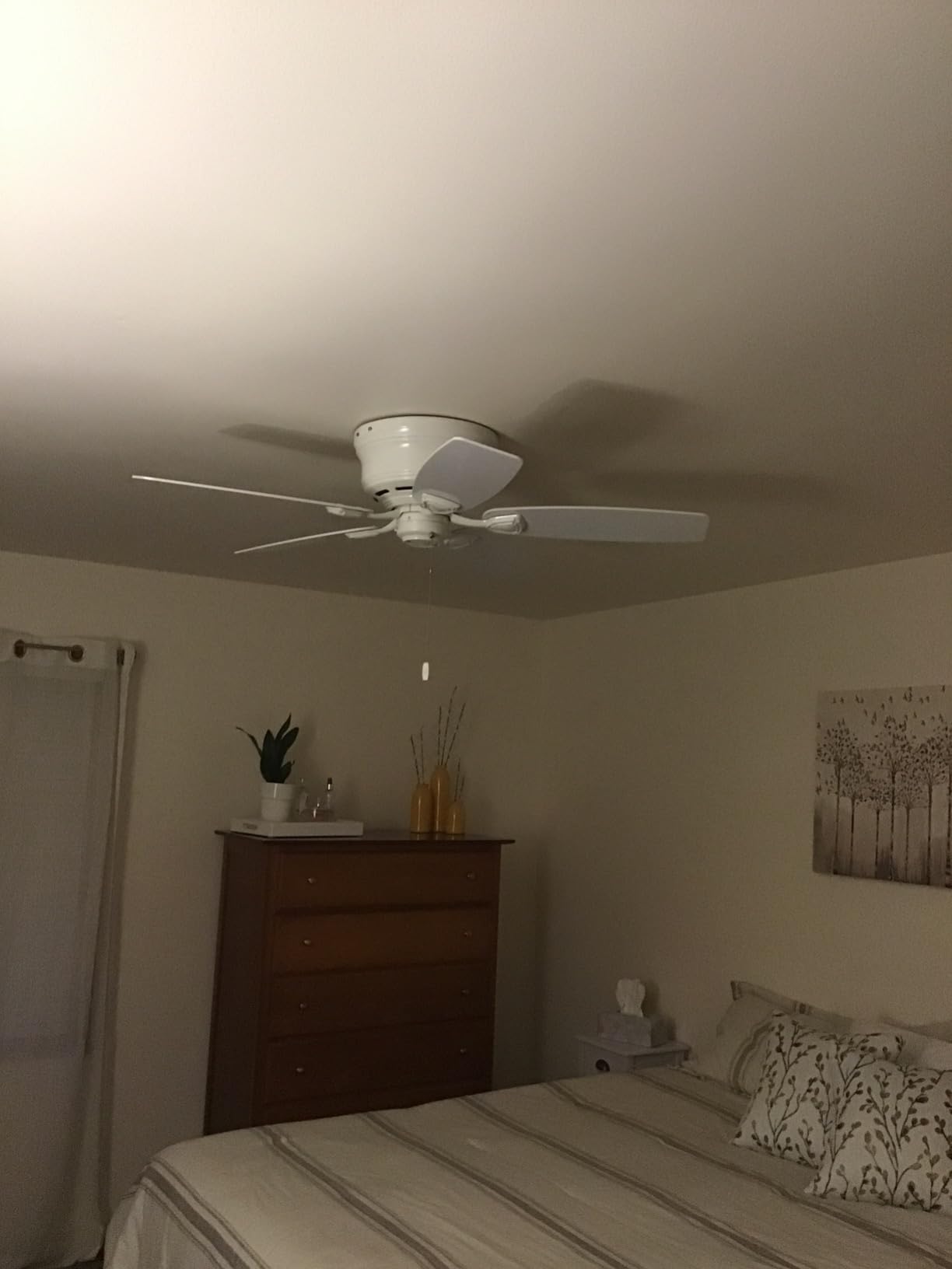 Hunter Sea Wind, Outdoor or Indoor, Ceiling Fan, No Light, 48 inch, White | Low Profile Flush Mount, Pull Chain, 5 Blades, For Living Room, Patio, Porch, Garage, 53119 customer photo 2