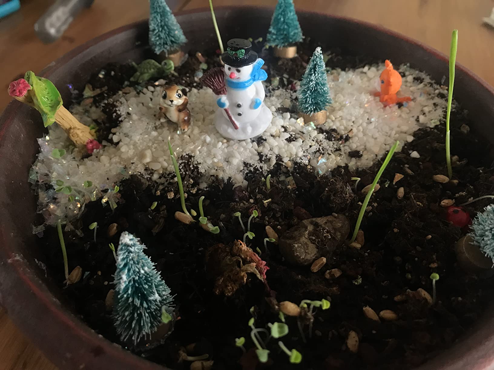 Creativity for Kids Grow 'N Glow Terrarium Kit - Educational Science Kits | Screen Free Summer Fun Activities | Gifts for Boys and Girls | Craft and STEM Projects (Ages 6+) customer photo 1