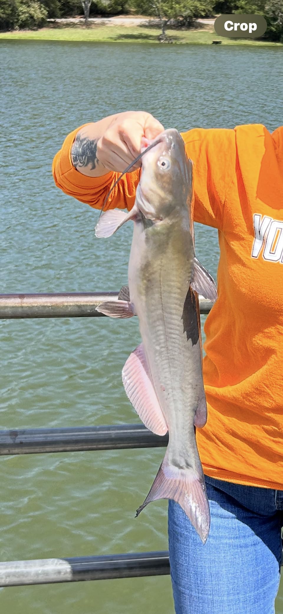 Reelsonar iBobber Portable Wireless Bluetooth Fish Finder customer photo 2