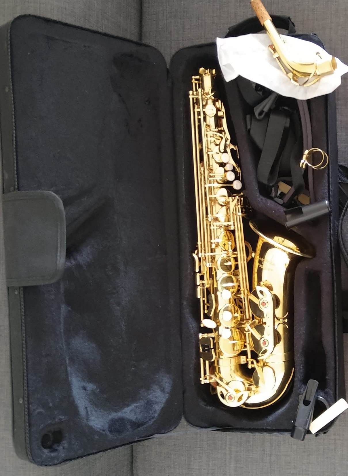 Glory Gold Laquer E Flat Alto Saxophone with 11reeds,8 Pads cushions,case,carekit customer photo 1