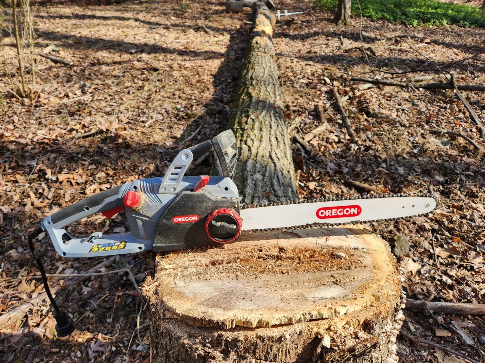 Oregon CS1500 Self-Sharpening Electric Chain Saw | Powerful, 15 Amp, Low Kickback, Self-Sharpening Integrated PowerSharp Chain, Automatic Oiler, 2-Year Warranty customer photo 2