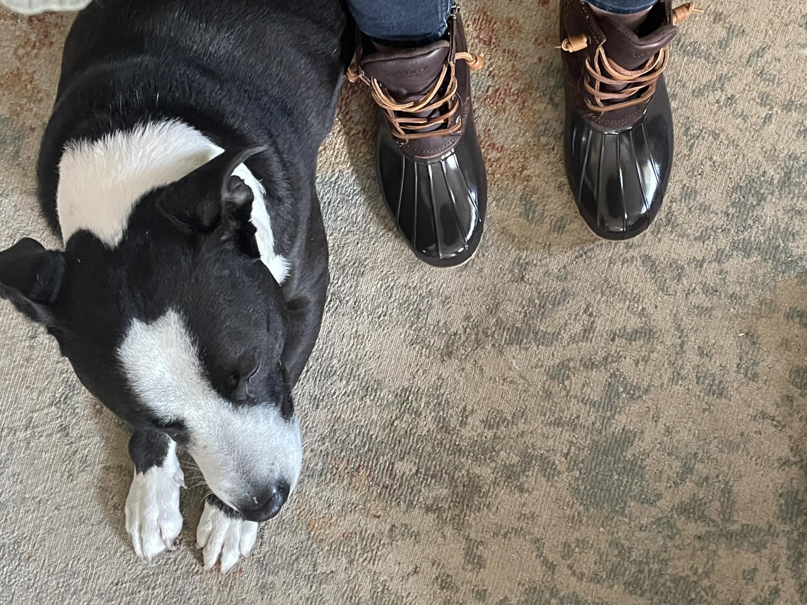 Sperry womens Saltwater Seasonal customer photo 1