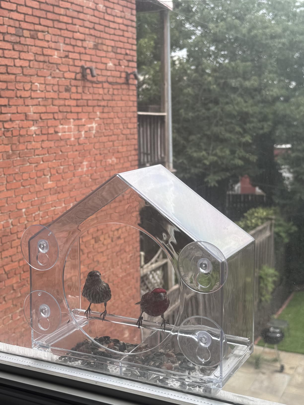 Window Bird Feeder with Strong Suction Cups, Clear window bird feeder, works as a balcony bird feeder too, no mess sliding seed tray, weatherproof acrylic, easy to clean customer photo 1