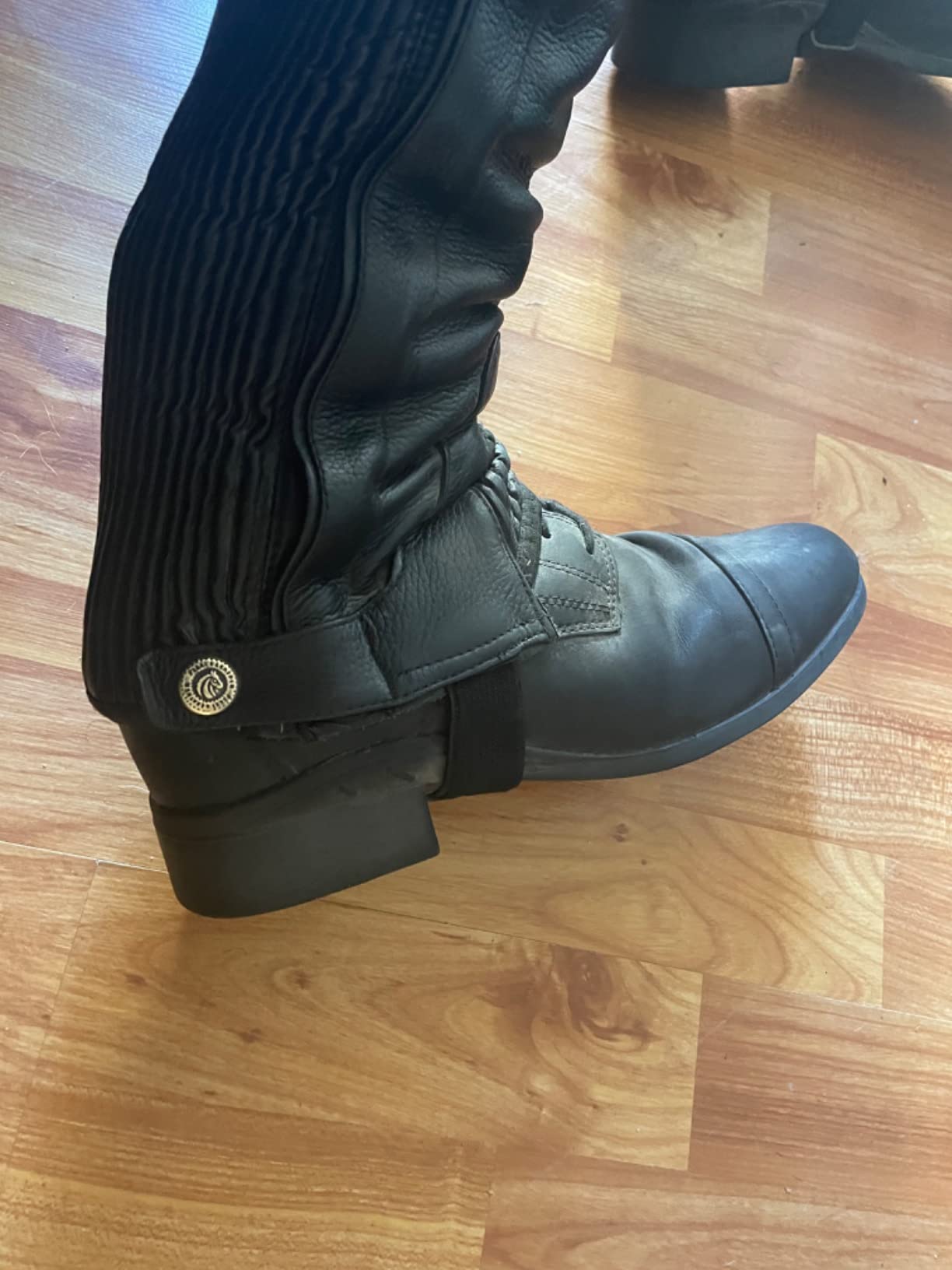 ARIAT Scout Paddock customer photo 2