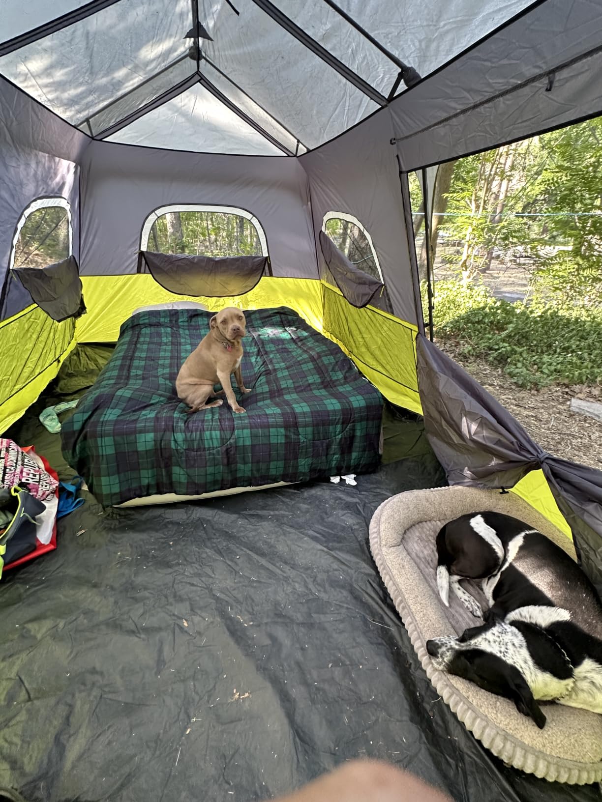 Core 9 Person Instant Cabin Tent - 14' x 9', Green (40008) customer photo 2