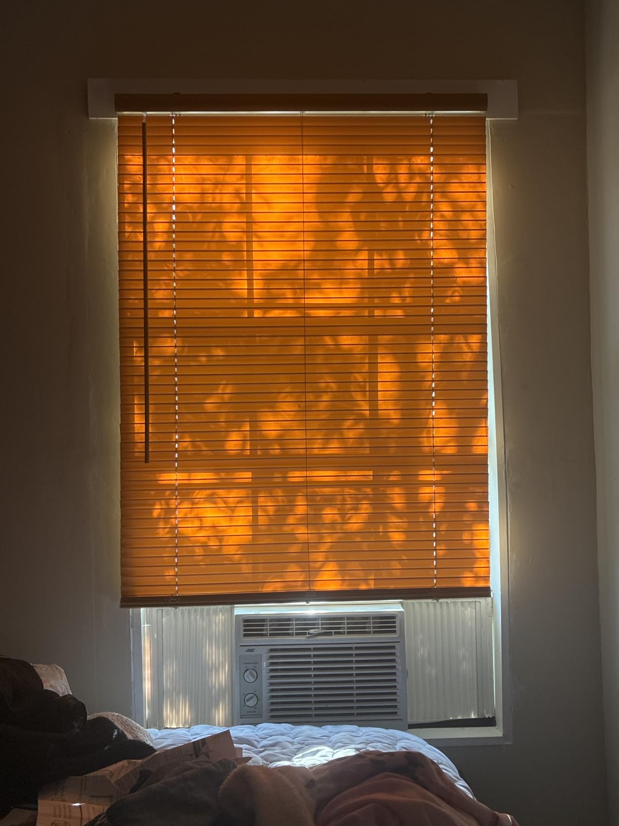 Cordless Light Filtering Mini Blind, 27 x 64 in, Pearl White customer photo 2
