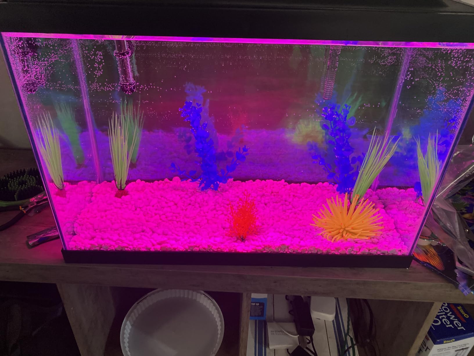 Tetra ColorFusion Aquarium 20 Gallon Fish Tank Kit with LED Lighting, Filter, Heater & Plants customer photo 1