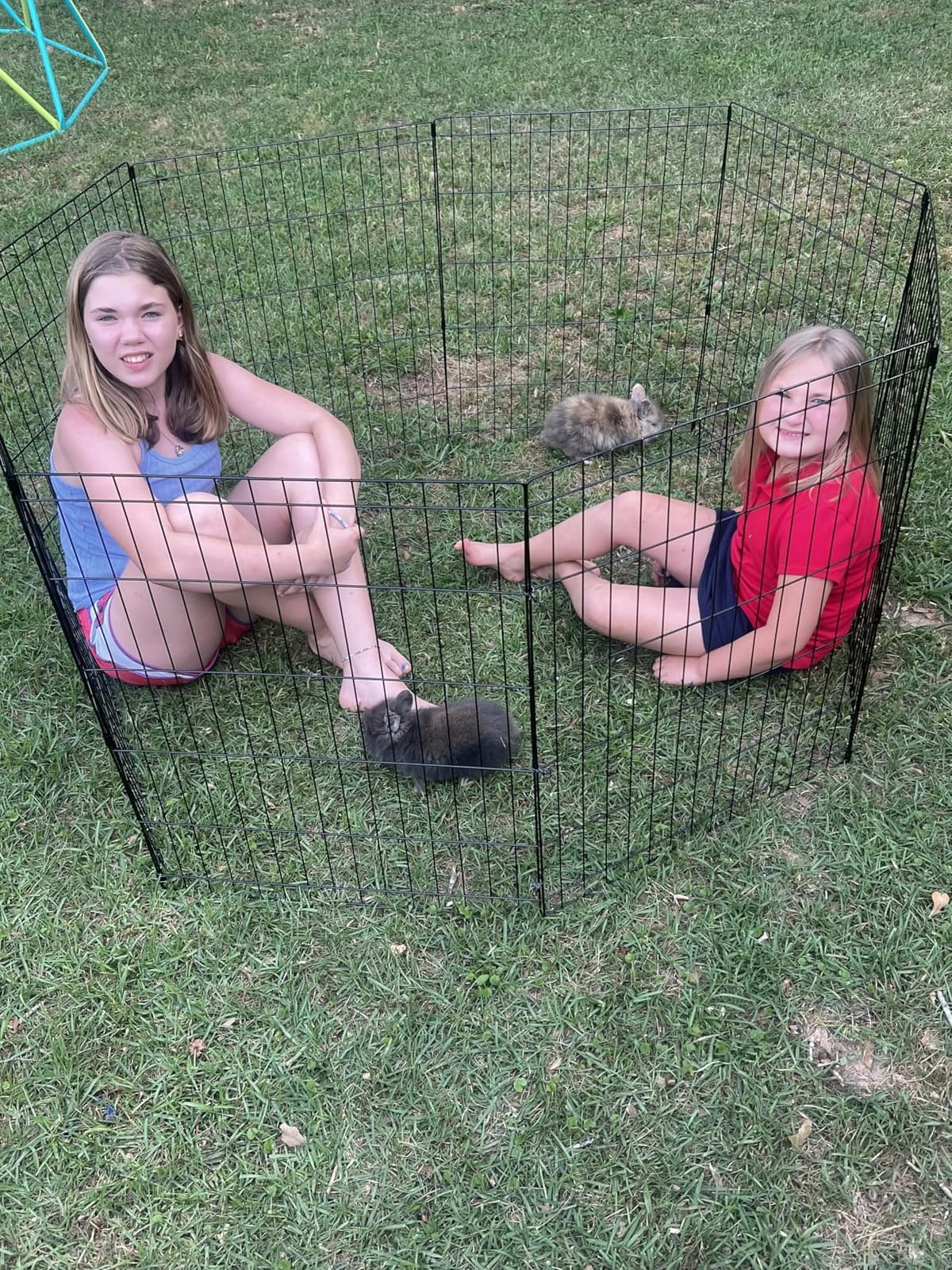 BestPet | Foldable Dog Playpen | 24 Inch, 8 Panels | Metal Pet Exercise Pen | Indoor Outdoor Portable Dog Fence with Door | Removable, Rust-Resistant Secure Pet Kennel | Easy to Assemble customer photo 2