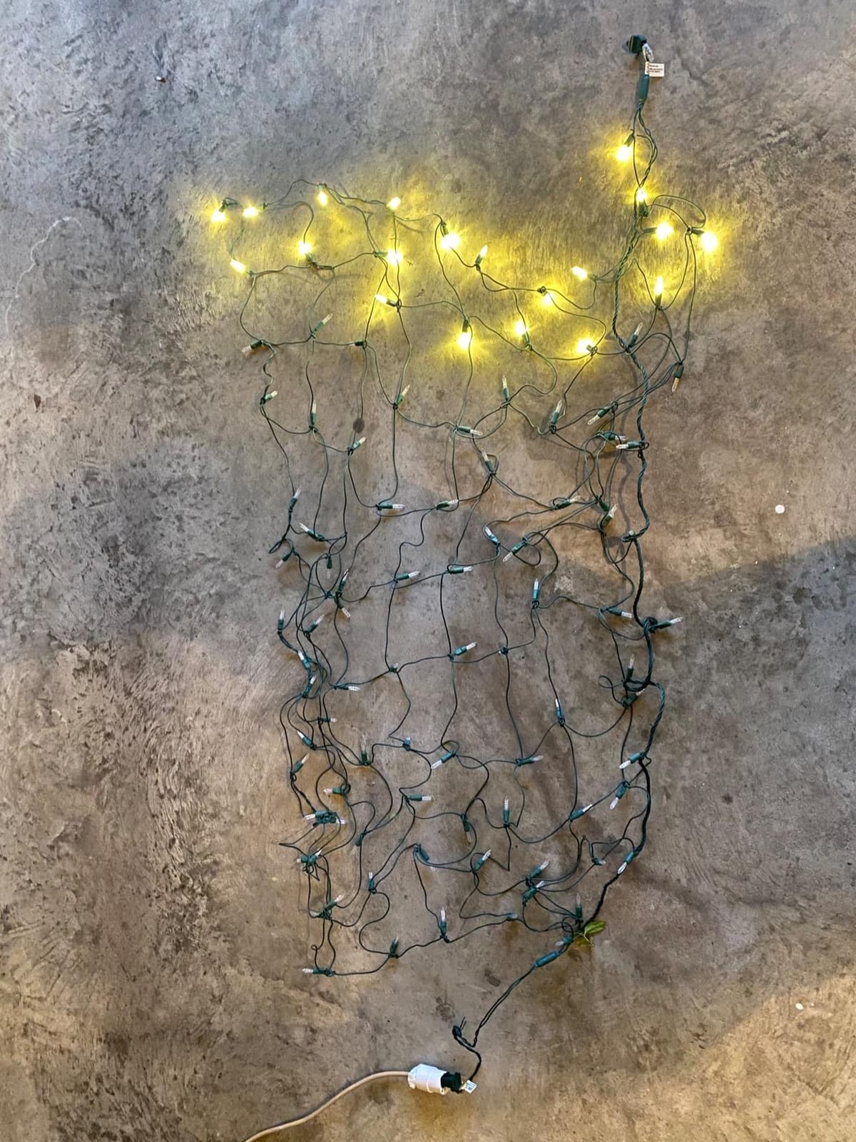 Wintergreen Lighting Set of 100 Warm White LED Net Lights - Christmas Outdoor Decorations, Green Wire (4 x 6 ft, 5mm Lights) customer photo 1
