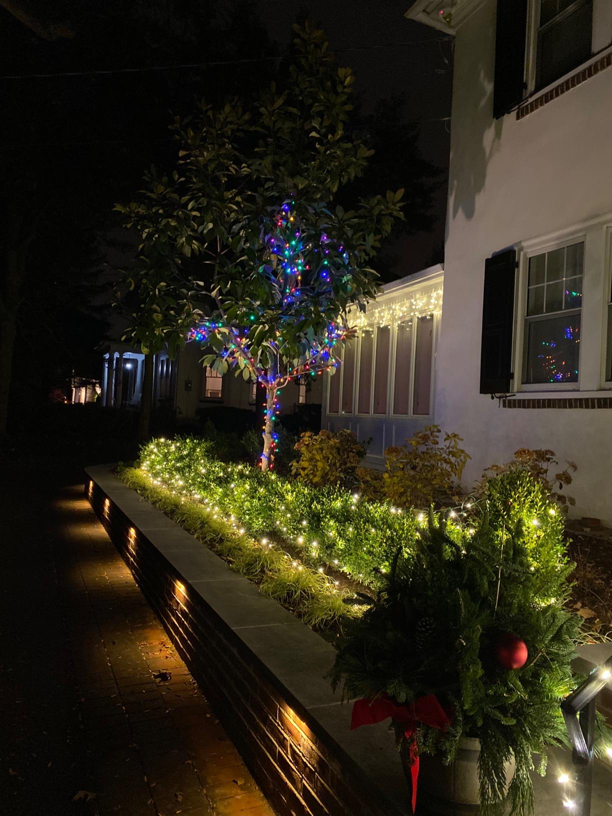 Wintergreen Lighting Set of 100 Warm White LED Net Lights - Christmas Outdoor Decorations, Green Wire (4 x 6 ft, 5mm Lights) customer photo 2