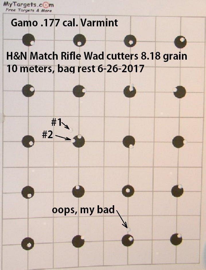 Gamo 6110017154 Varmint Air Rifle customer photo 1