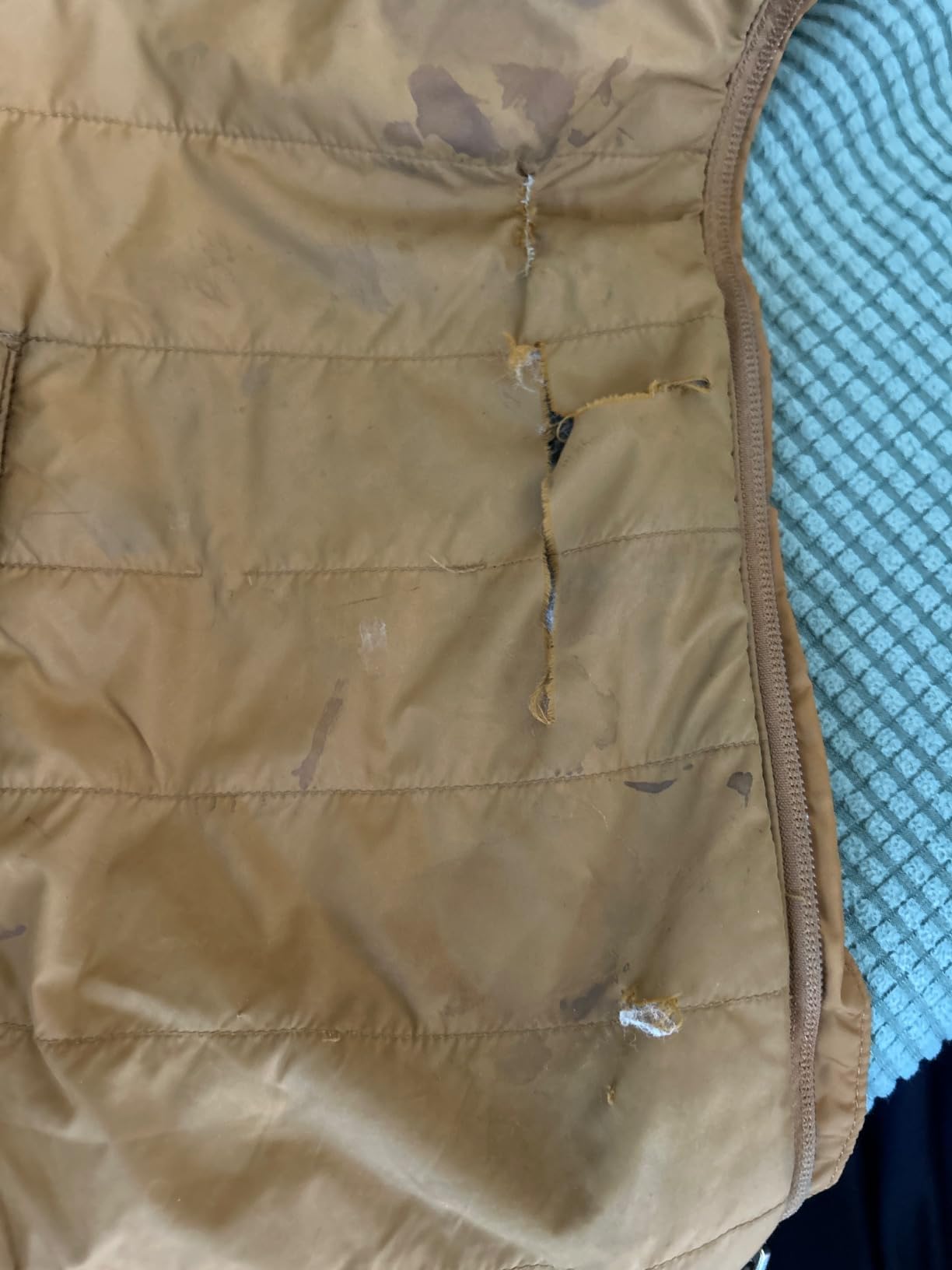 Carhartt Men's Gilliam Vest customer photo 1