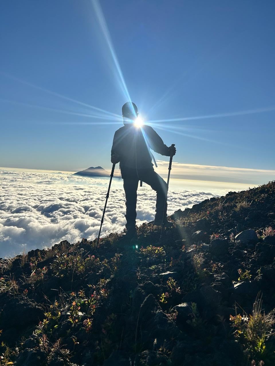 100% Carbon Fiber Trekking Poles by USA Brand - Ultra Strong Lightweight Collapsible Hiking Poles with Cork and EVA Foam Grips & Quick Adjustable Flip Locks customer photo 1