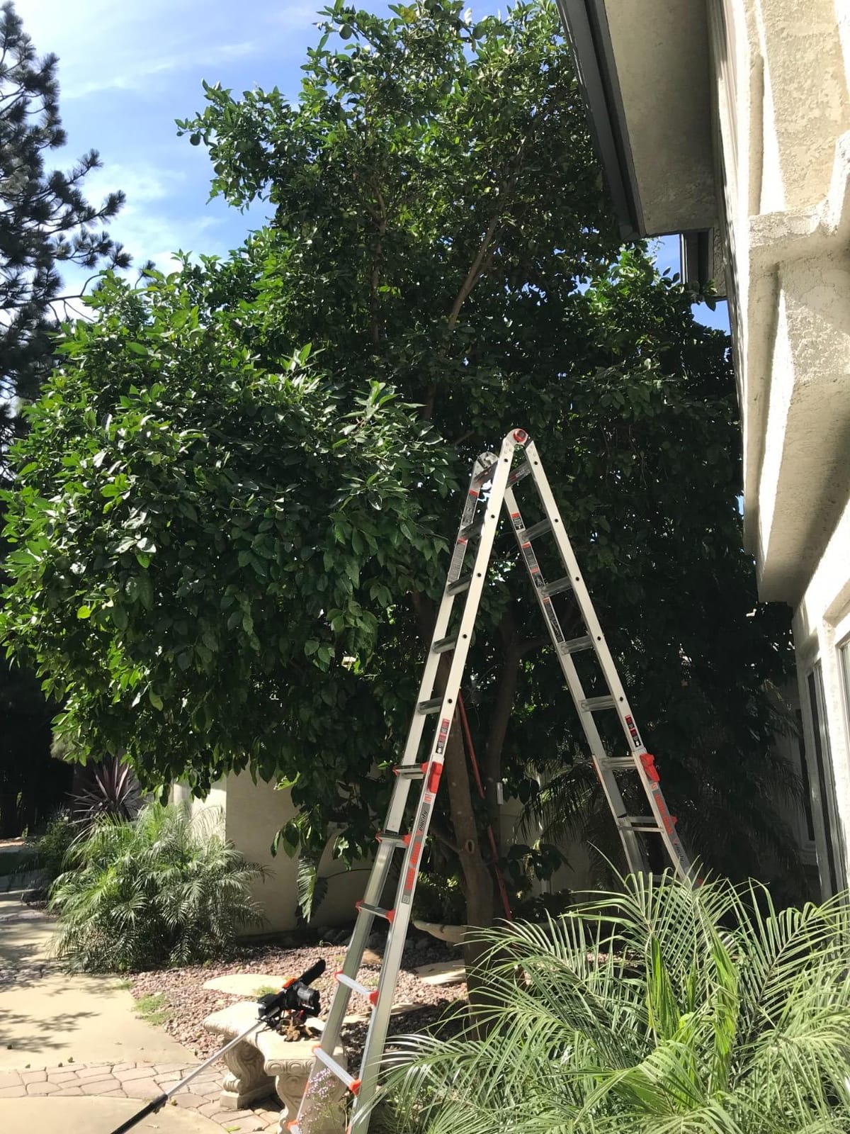 Little Giant Velocity, Aluminum Ladder, 26 ft Reach, 15426-001 | Telescoping Multi-Position Ladder with Extension, A-Frame, 90-Degree & Trestle Modes, Tip & Glide Wheels, 300 lbs. Rating customer photo 1