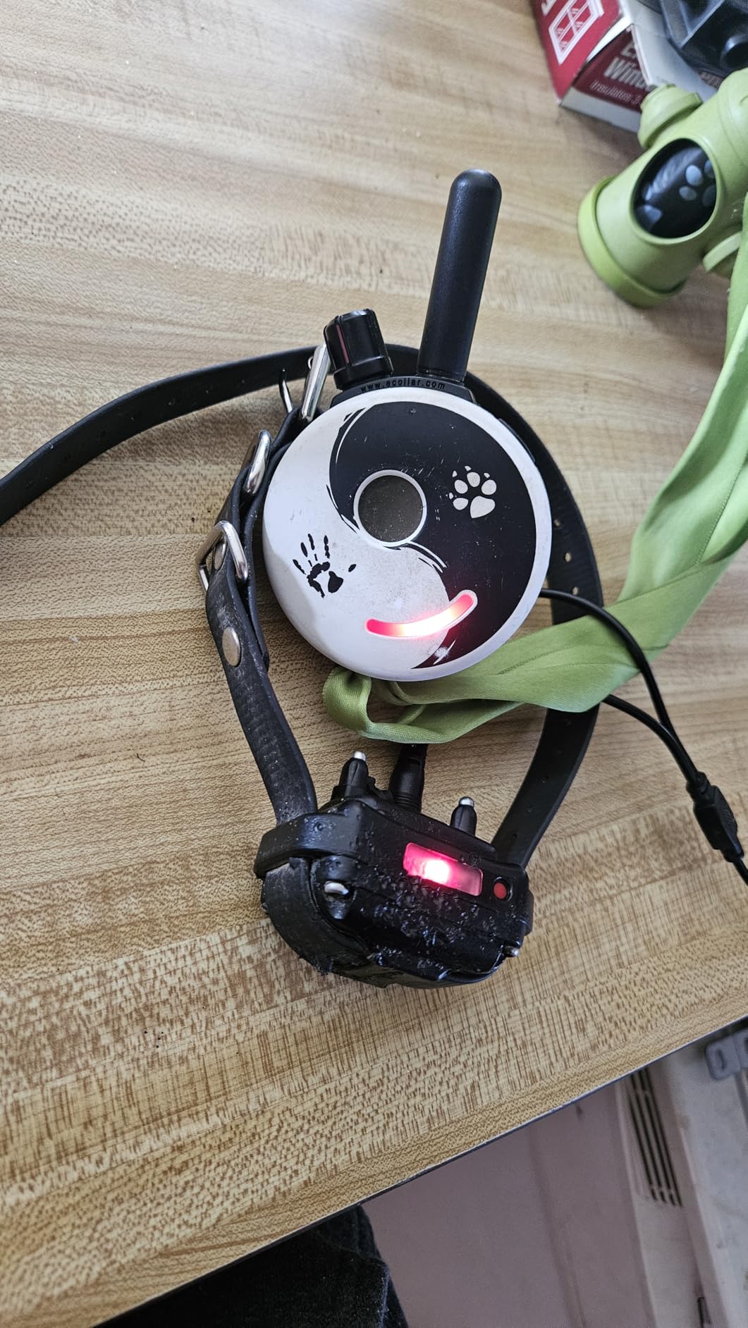 Educator ET-300 Mini E Collar for Dog Training with Remote - 1/2 Mile Range, Waterproof, 100 Blunt Stimulation Levels, Tone or Vibration Mode, Night Light Tracking customer photo 1