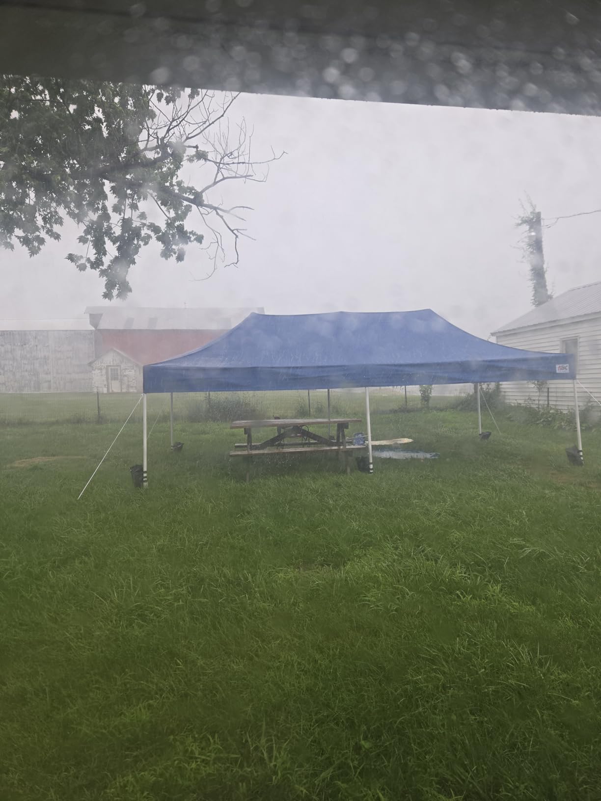 ABCCANOPY Commercial Pop Up Canopy Tent 10x10 Premium-Series, White customer photo 1