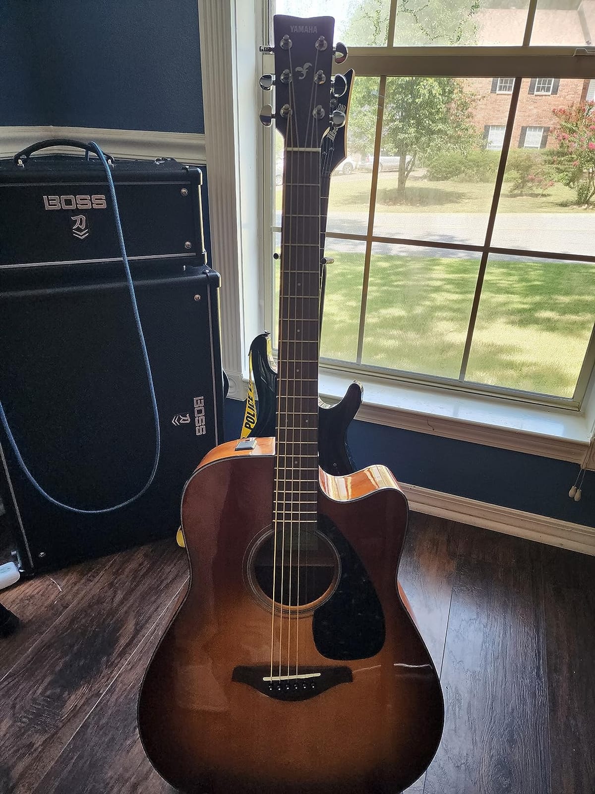 Yamaha FGX800C Solid Top Cutaway Acoustic-Electric Guitar, Dreadnought customer photo 1