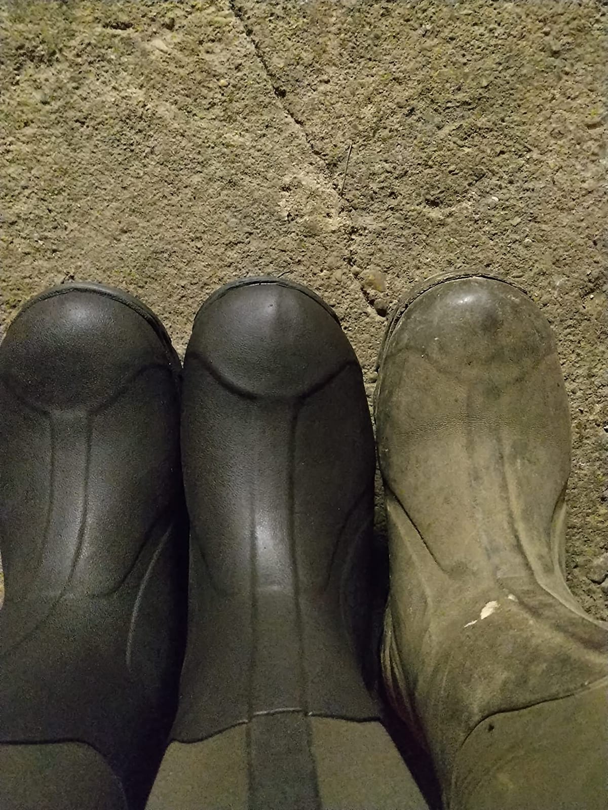 MUCK Men's Arctic Pro Insulated Boot | Snow Boots customer photo 2