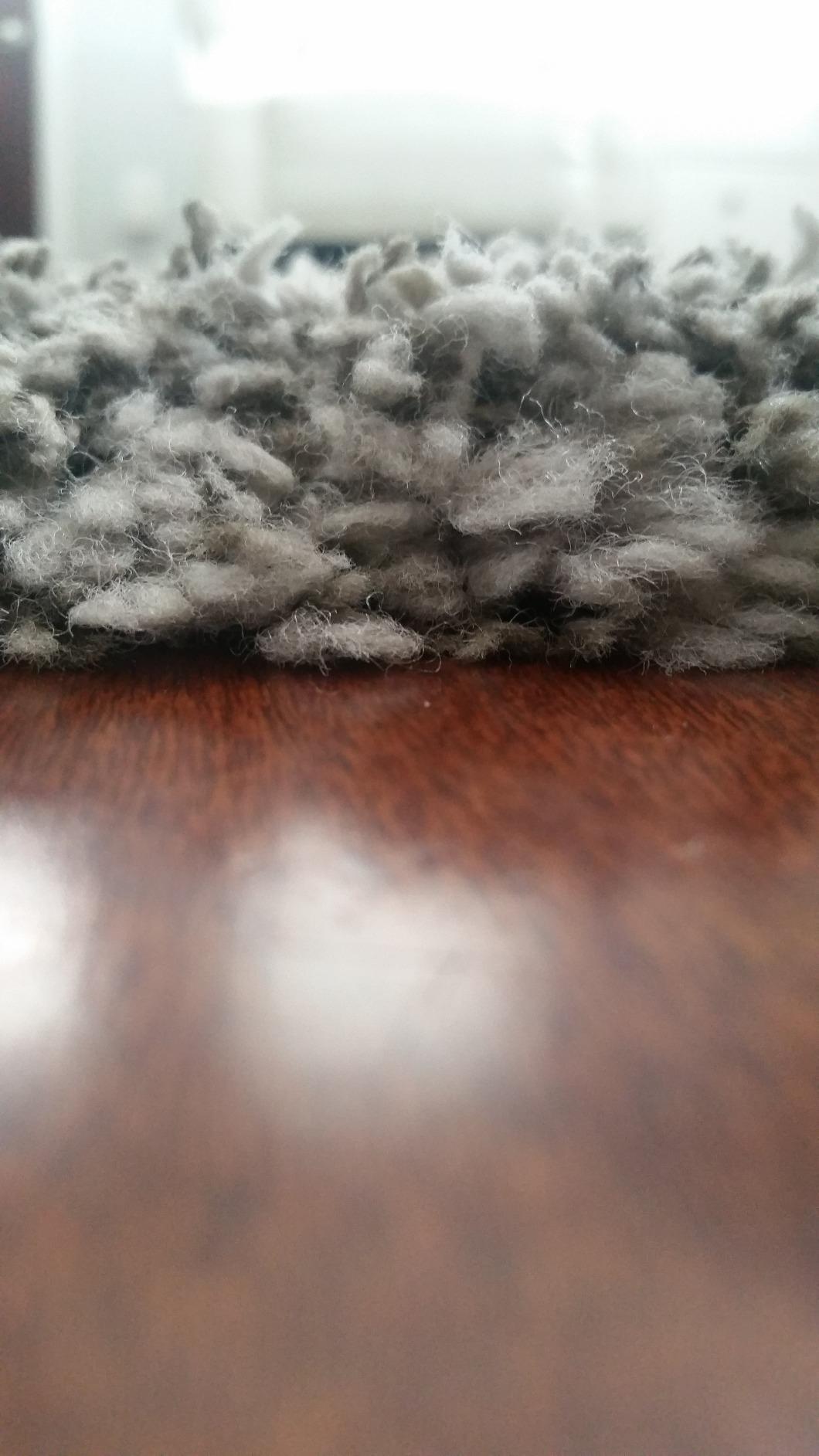 SAFAVIEH Hudson Shag Rug 8x10, Plush Trellis Large Ivory & Beige SGH280D customer photo 1