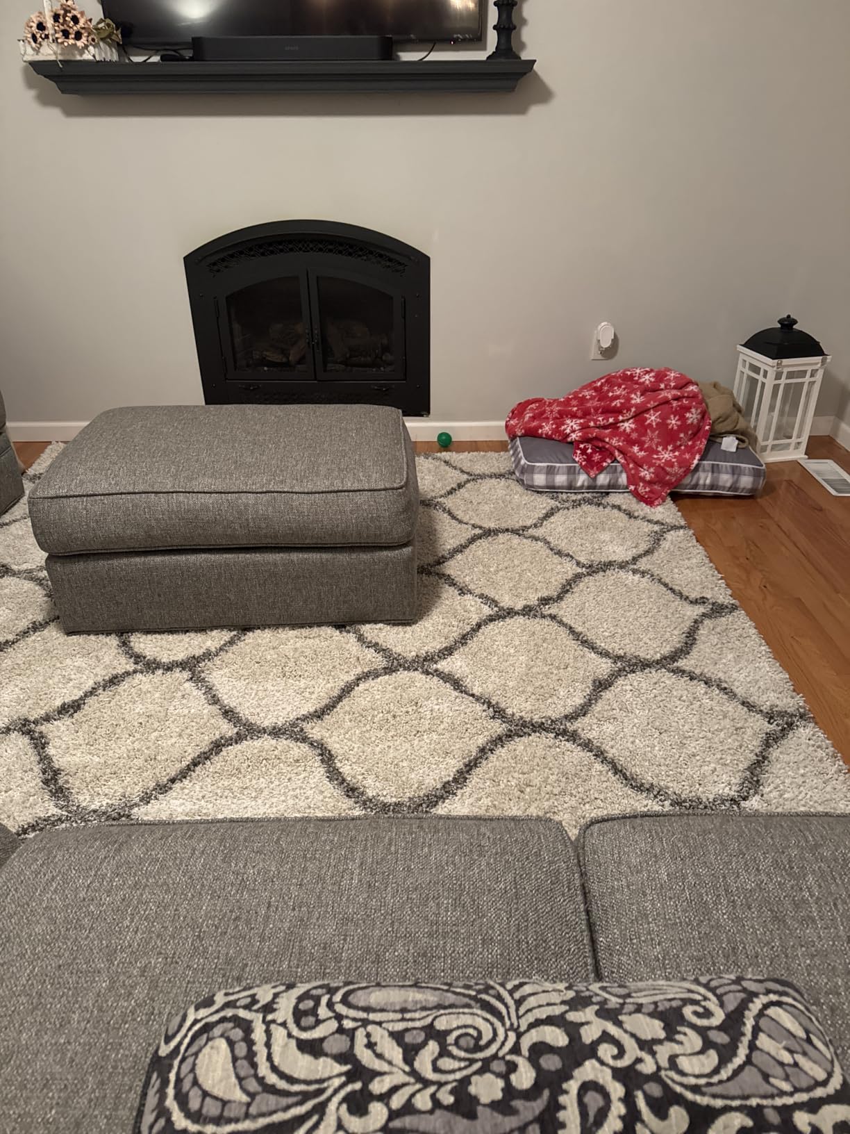 SAFAVIEH Hudson Shag Rug 8x10, Plush Trellis Large Ivory & Beige SGH280D customer photo 2