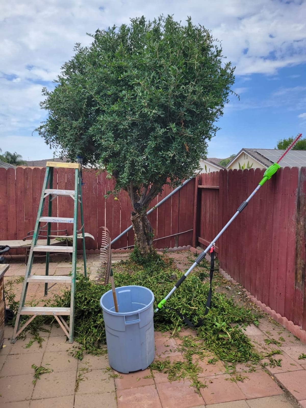 Greenworks 40V 8 in Pole Saw Hedge Trimmer Kit, 2.0 Ah Battery and Charger customer photo 2