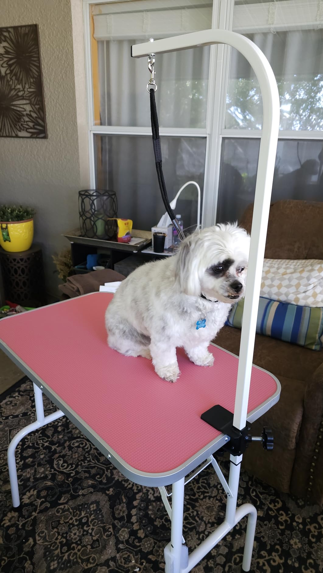 Yaheetech 32 Inch Sturdy Dog Grooming Table for Home, Black | Foldable Dog Grooming Table for Small Medium Dogs, 220lb Capacity, Adjustable Grooming Arm, Non-Slip Surface, No-tool Setup customer photo 2