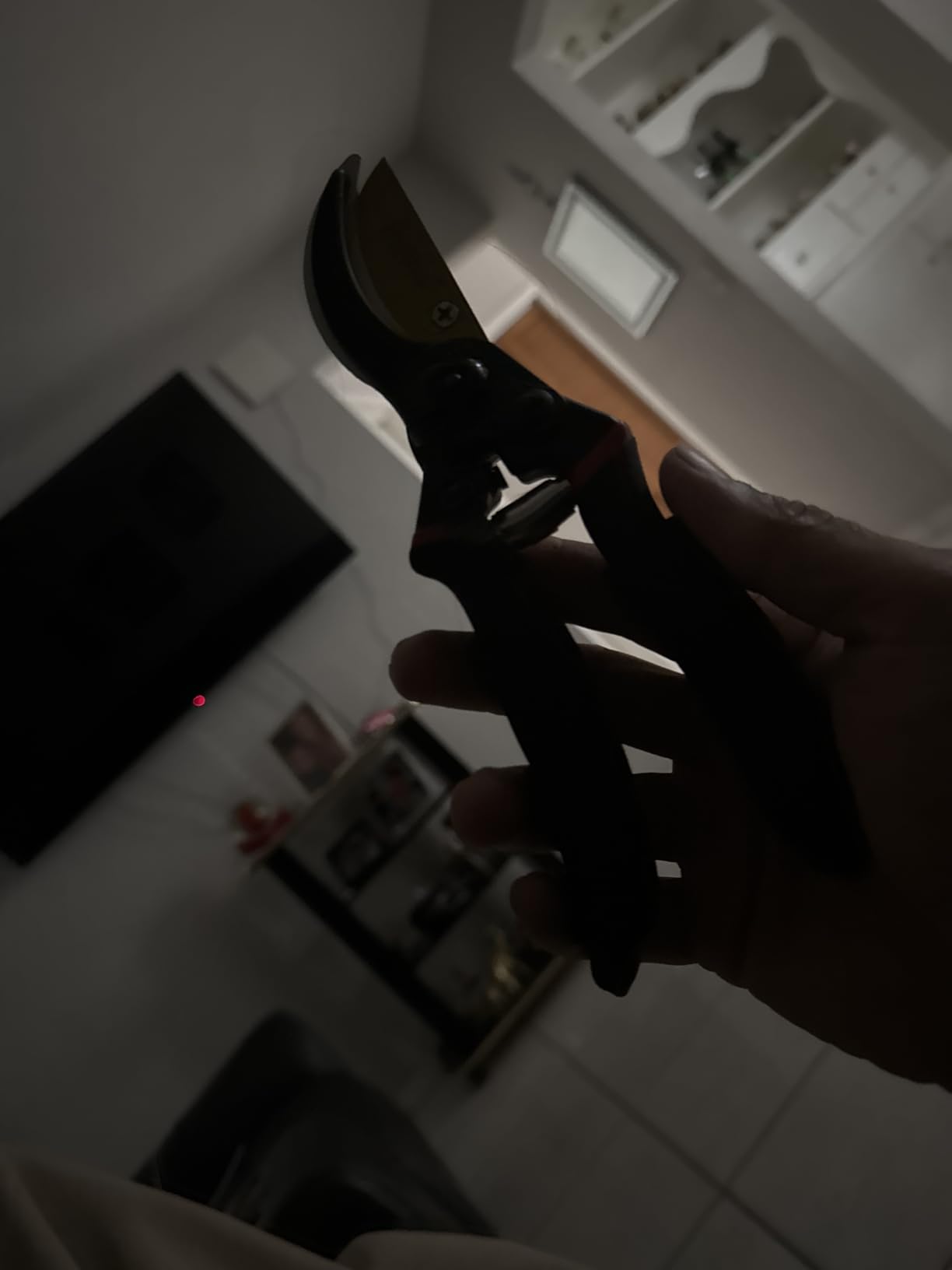 gonicc 8