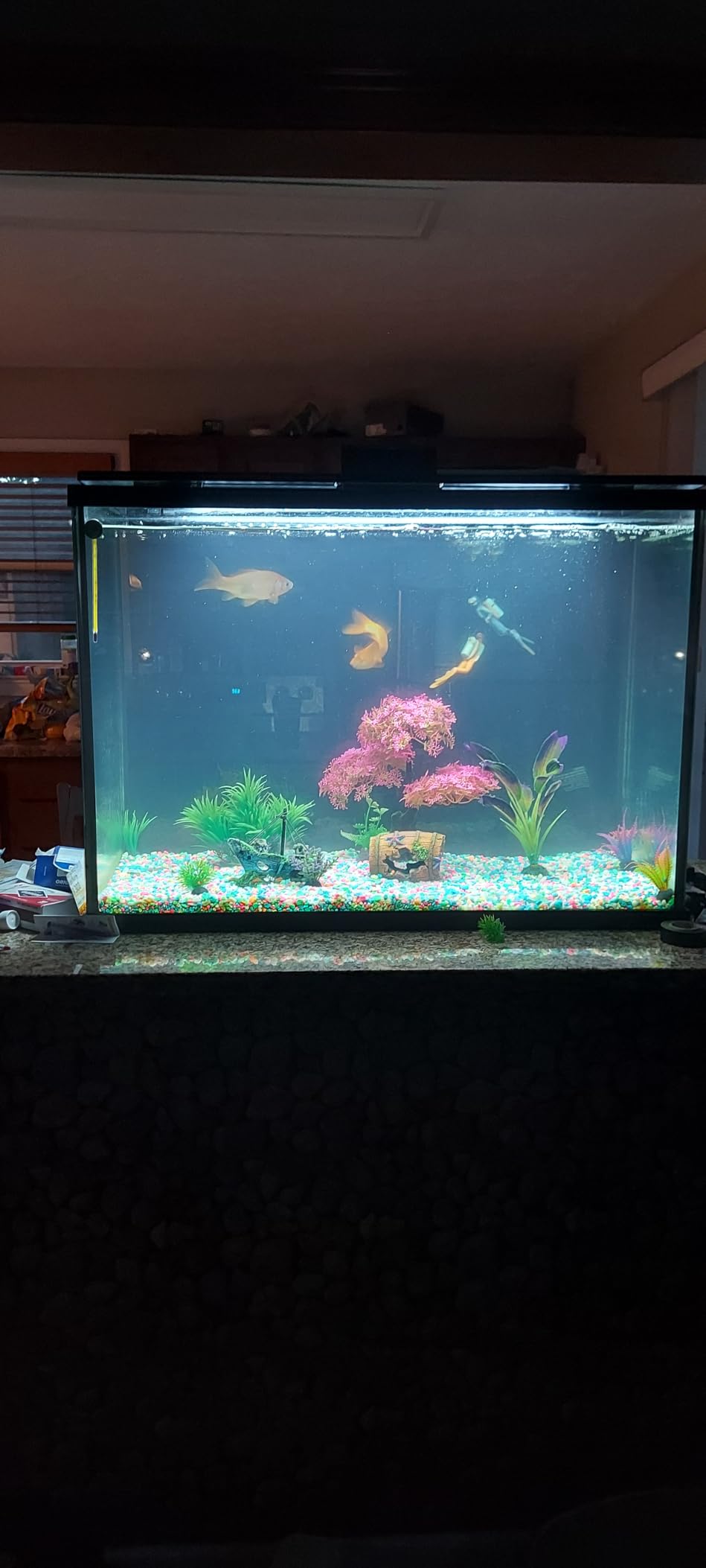 Tetra Whisper IQ 215 GPH Power Filter for Aquariums | For Fish Tanks Up To 45 Gallons, Whisper Quiet, Freshwater Or Marine Fish, Stay Clean Technology For Healthy pH Levels customer photo 1