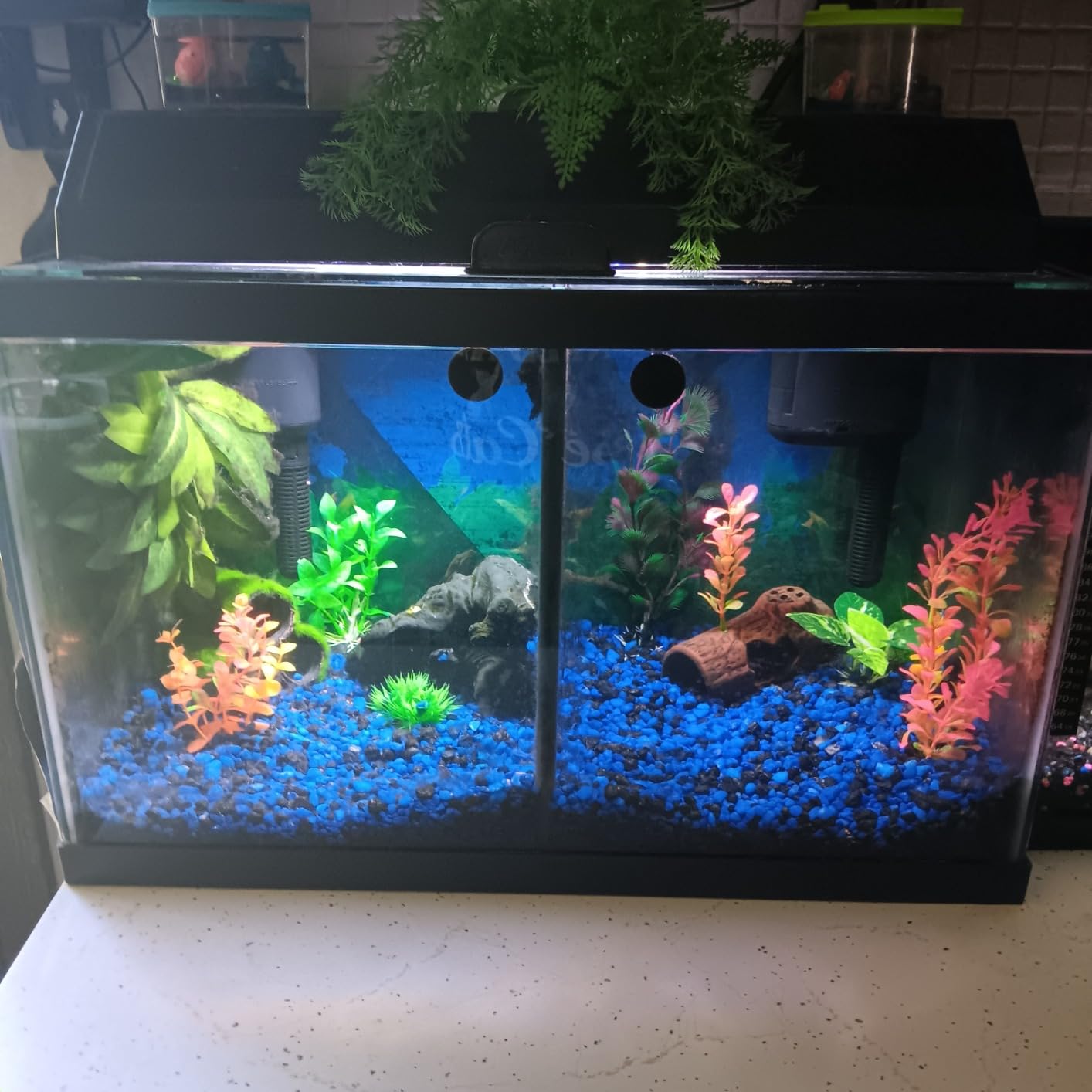 Tetra Whisper IQ 215 GPH Power Filter for Aquariums | For Fish Tanks Up To 45 Gallons, Whisper Quiet, Freshwater Or Marine Fish, Stay Clean Technology For Healthy pH Levels customer photo 2