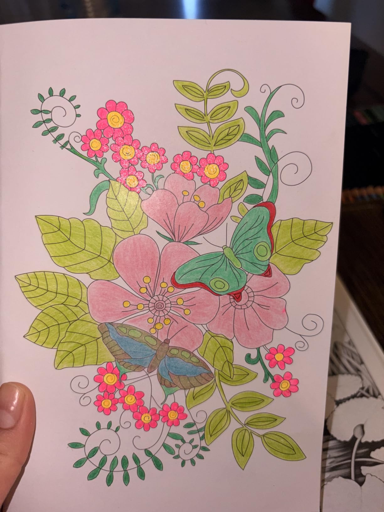 Soucolor 72 Colored Pencils for Adult Coloring Book, Back to School Supplies | Vibrant, Soft Core, Smooth Coloring Pencils for Kids Beginners Sketching, Drawing, Blending, Shading, Arts & Crafts Supplies Gift customer photo 1
