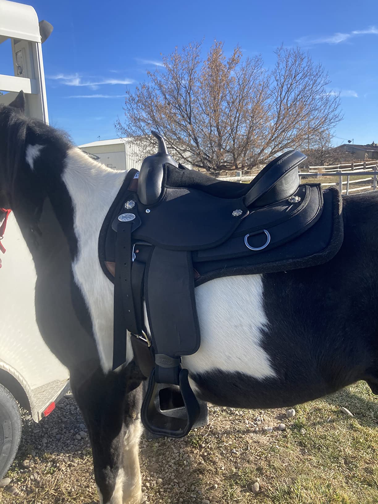 HILASON Flex Tree Western Horse Saddle Cordura Synthetic Trail & Pleasure customer photo 1
