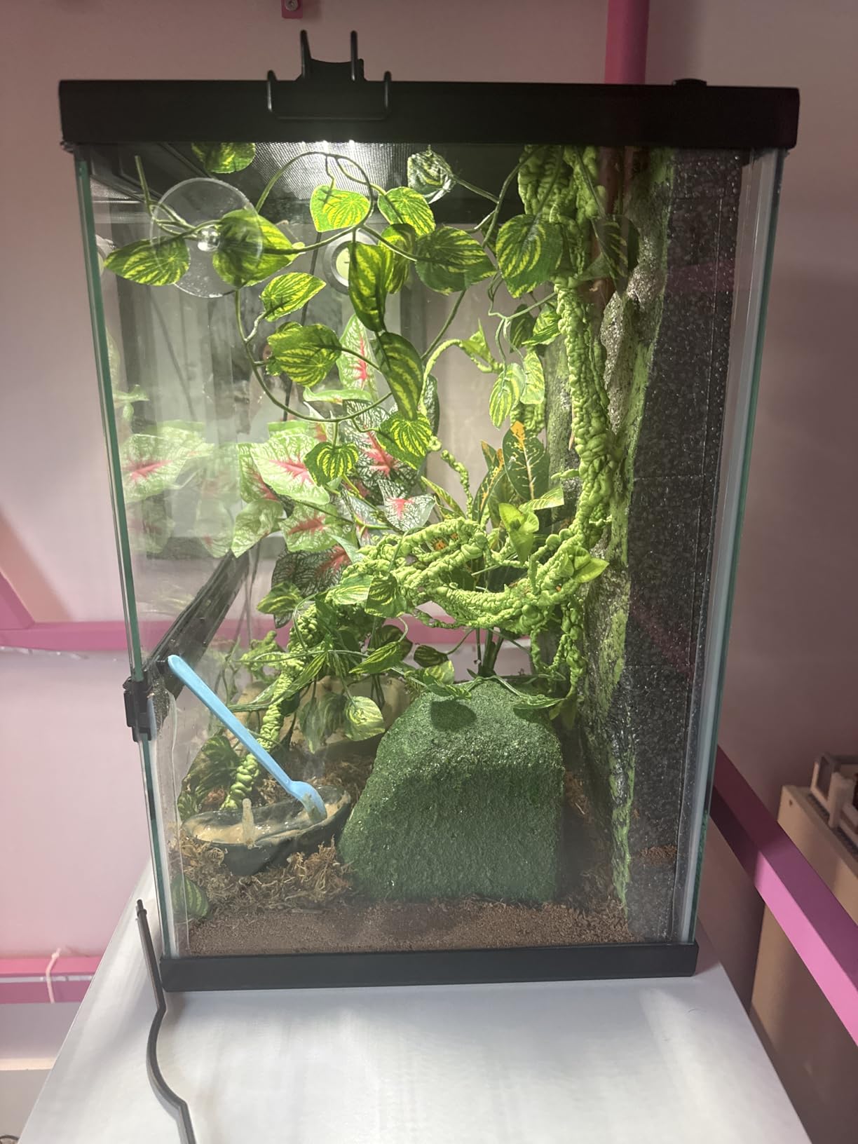 Zilla 11 Gallon Glass Tropical Vertical Terrarium Kit | Easy access for care, gecko tank for small arboreal pets, front-opening door, hinged screen top, tall terrarium customer photo 1