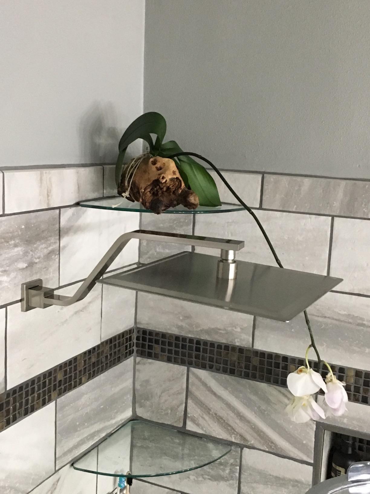 Lordear Rain Shower Heads High Pressure, Rainfall Showerhead for Bathroom Fixed Mount, 12 Inch Large Square High Flow Shower Head (Brushed Nickel) customer photo 1