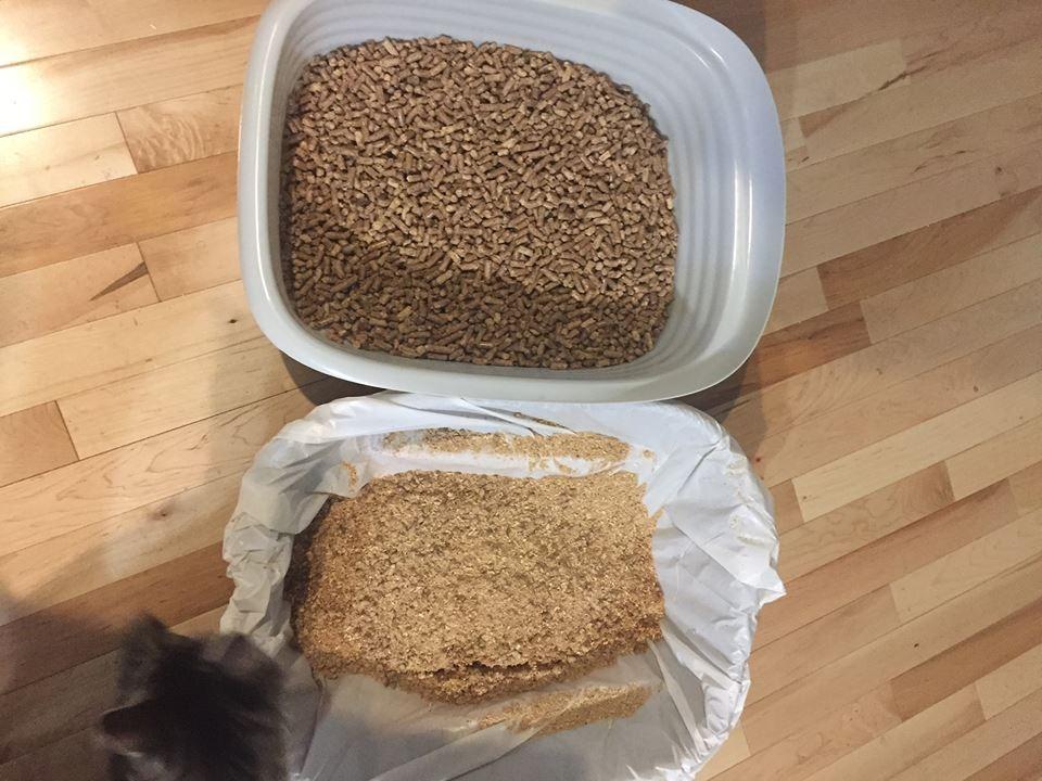 Arm & Hammer Large Sifting Litter Box Scoop Free Cat Litter Tray with Microban, Made in USA customer photo 1