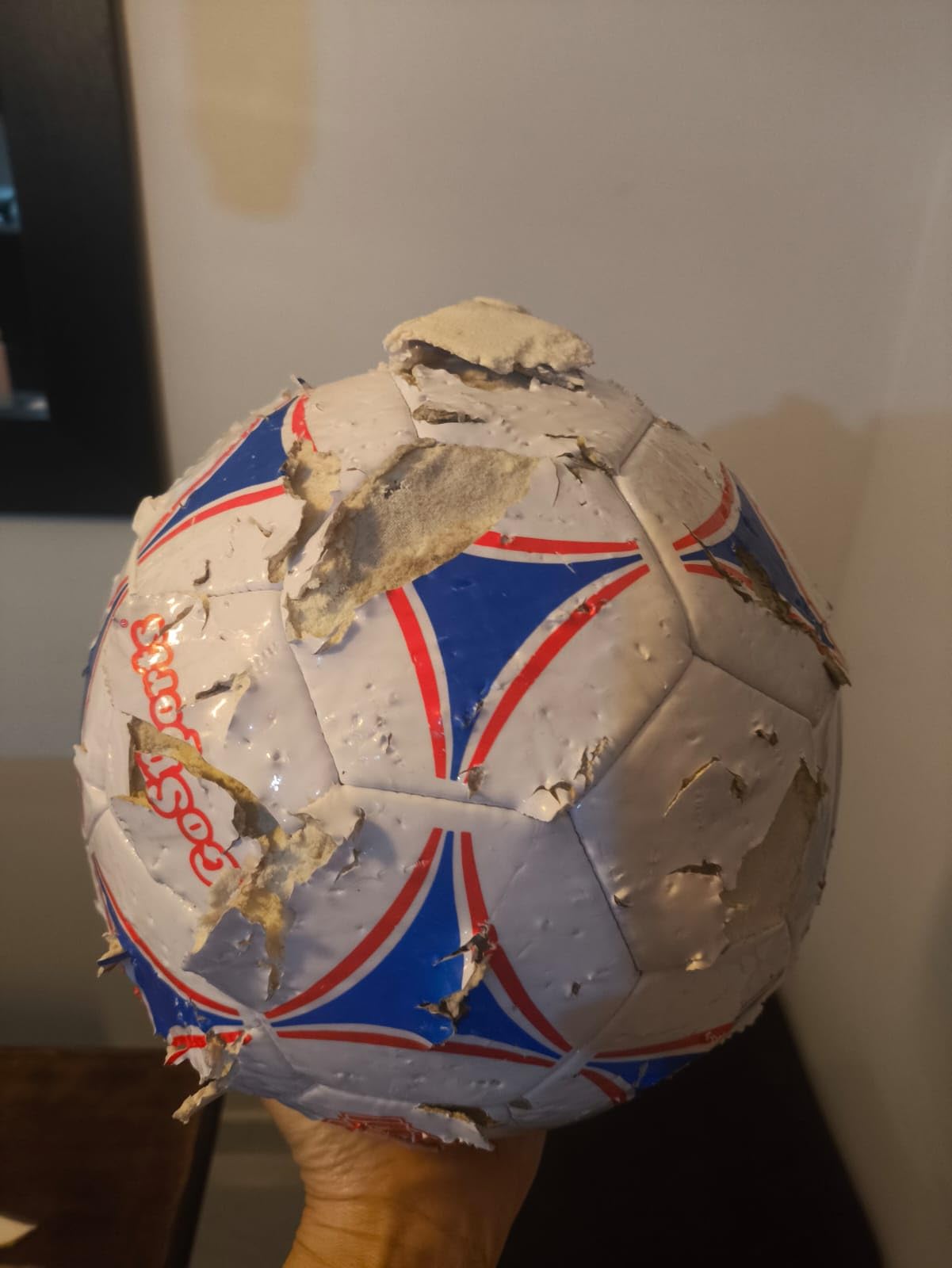 GoSports Premier Soccer Balls - Single or 6 Pack - Sizes 3, 4, 5, with Ball Pump customer photo 1