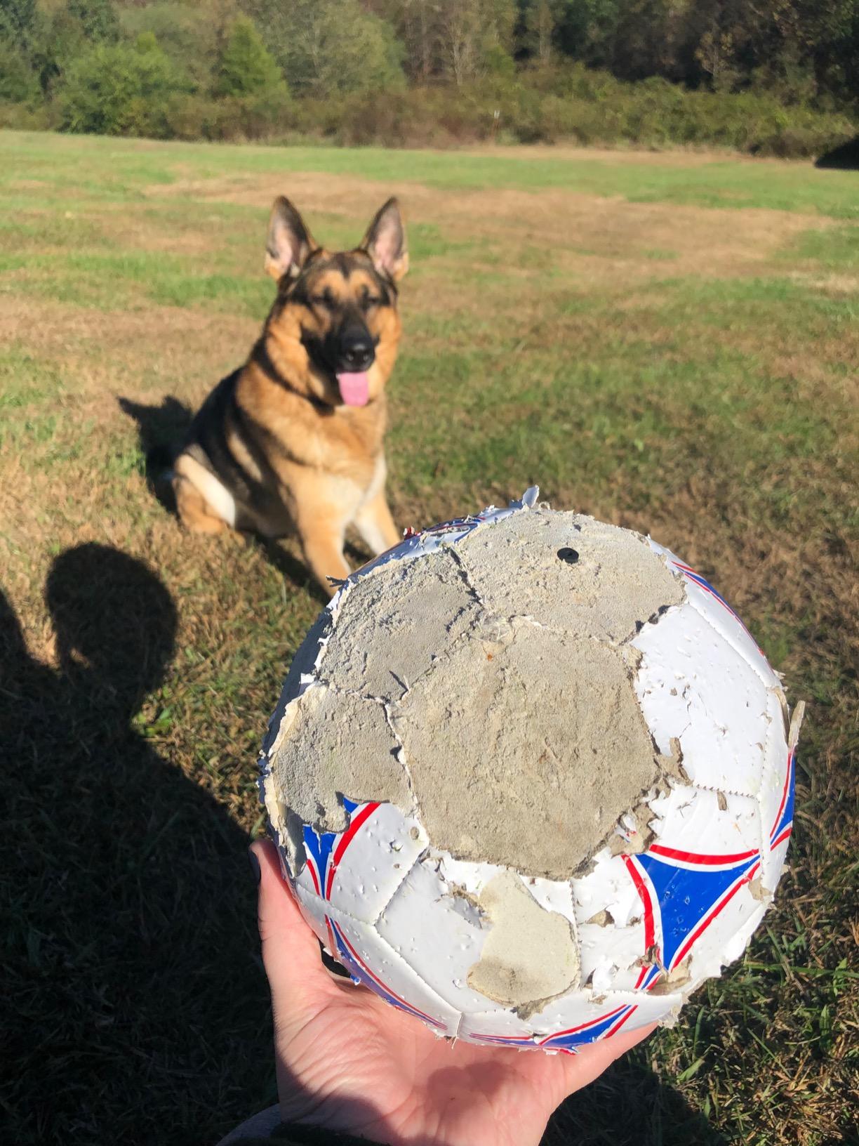 GoSports Premier Soccer Balls - Single or 6 Pack - Sizes 3, 4, 5, with Ball Pump customer photo 2
