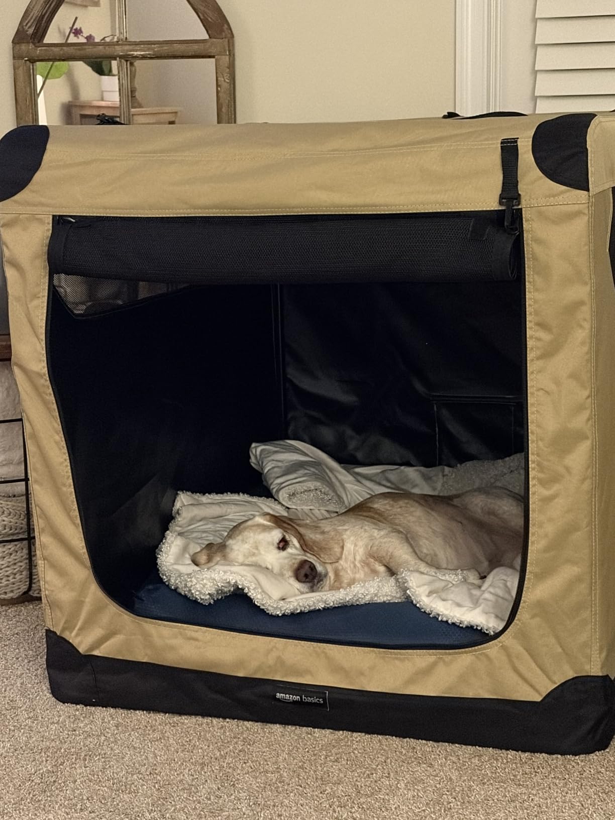 Amazon Basics Portable Folding Soft Dog Crate, 2-Door, Collapsible Travel Kennel, Top & Front Loading, Small 26