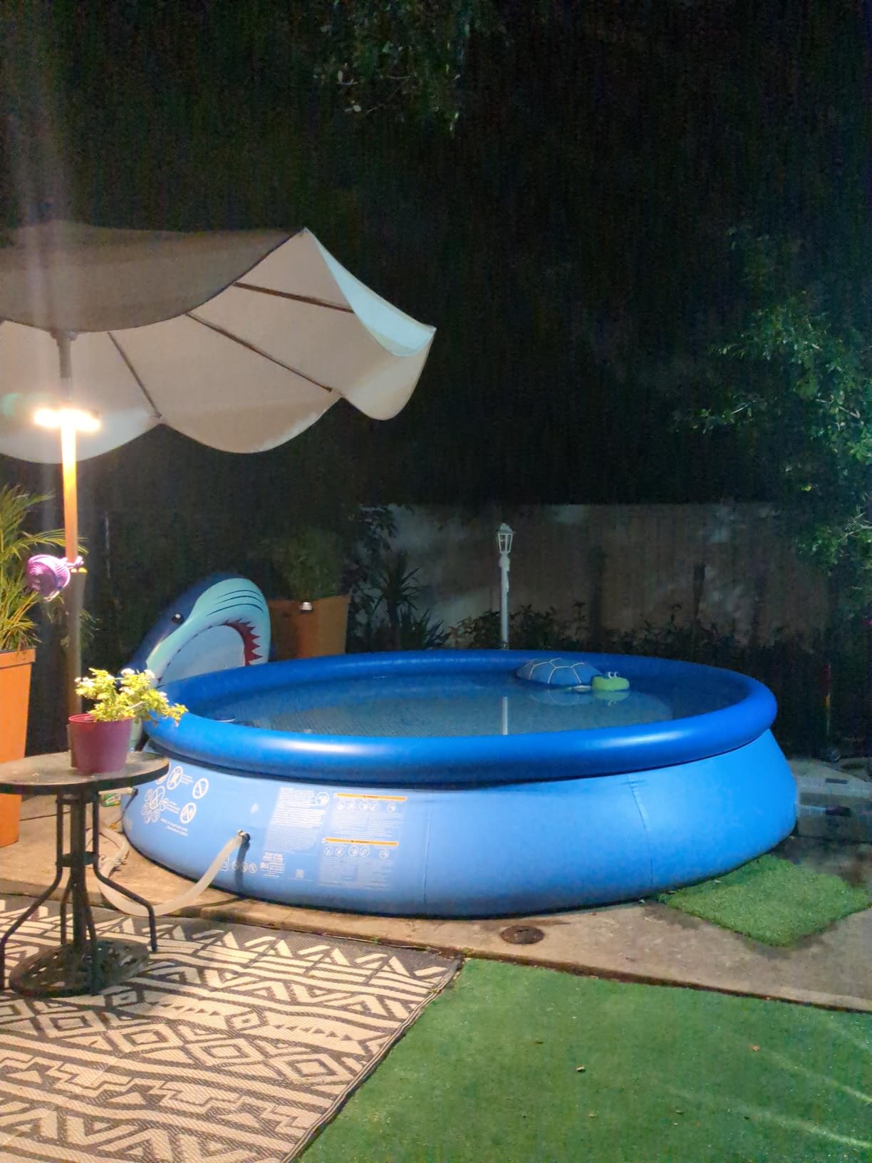 INTEX Easy Set 15 ft x 48in Inflatable Ring Above Ground Pool Set with 1000 GPH Cartridge Filter Pump, Ladder, Pool Cover & Ground Cloth customer photo 1